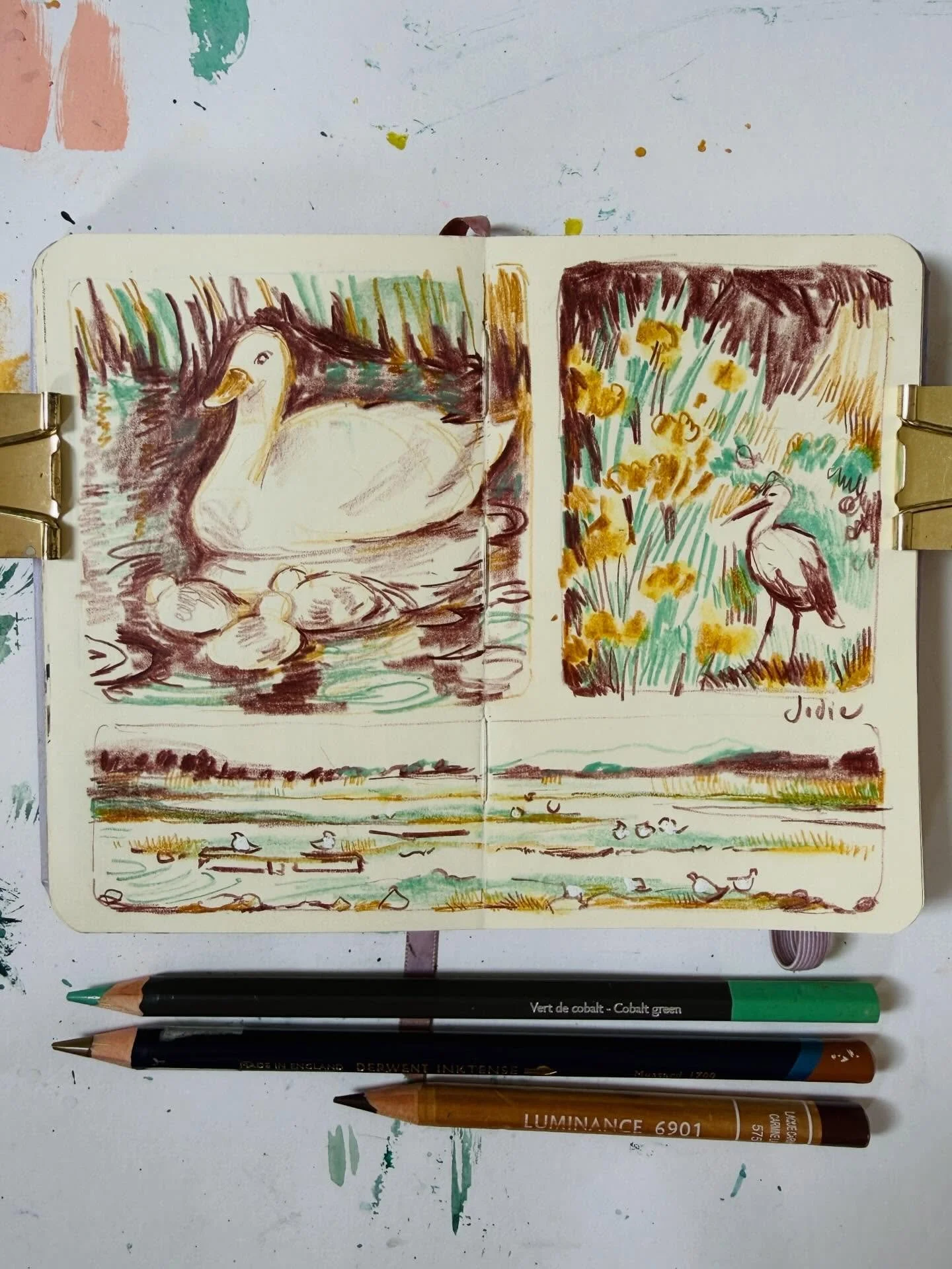 Yesterday inside Patreon, we used a beautiful set of reference photos shared by Jodie @thefrostedblueberry from her visits to @wwtmartinmere wetland centre for a live nature journalling session.

I was so pleased Jodie joined us live as well, because