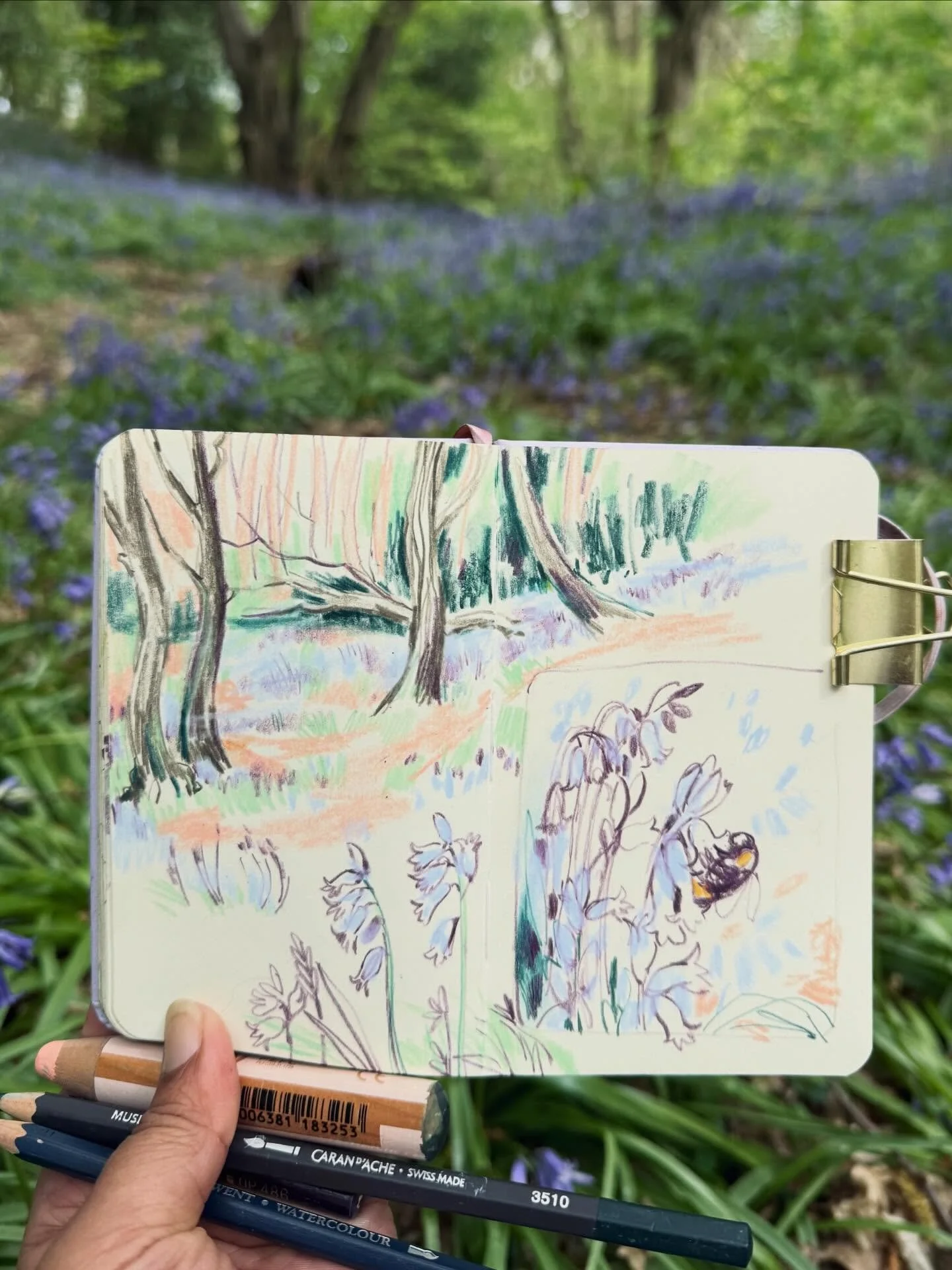 Happy 1st of May. I tend to journal and reflect at the end of each month just so I understand what's occurred and  give myself a moment to reflect. A few things I'm happy to share about April&hellip;

Far, mid, near and close-up views can completely 