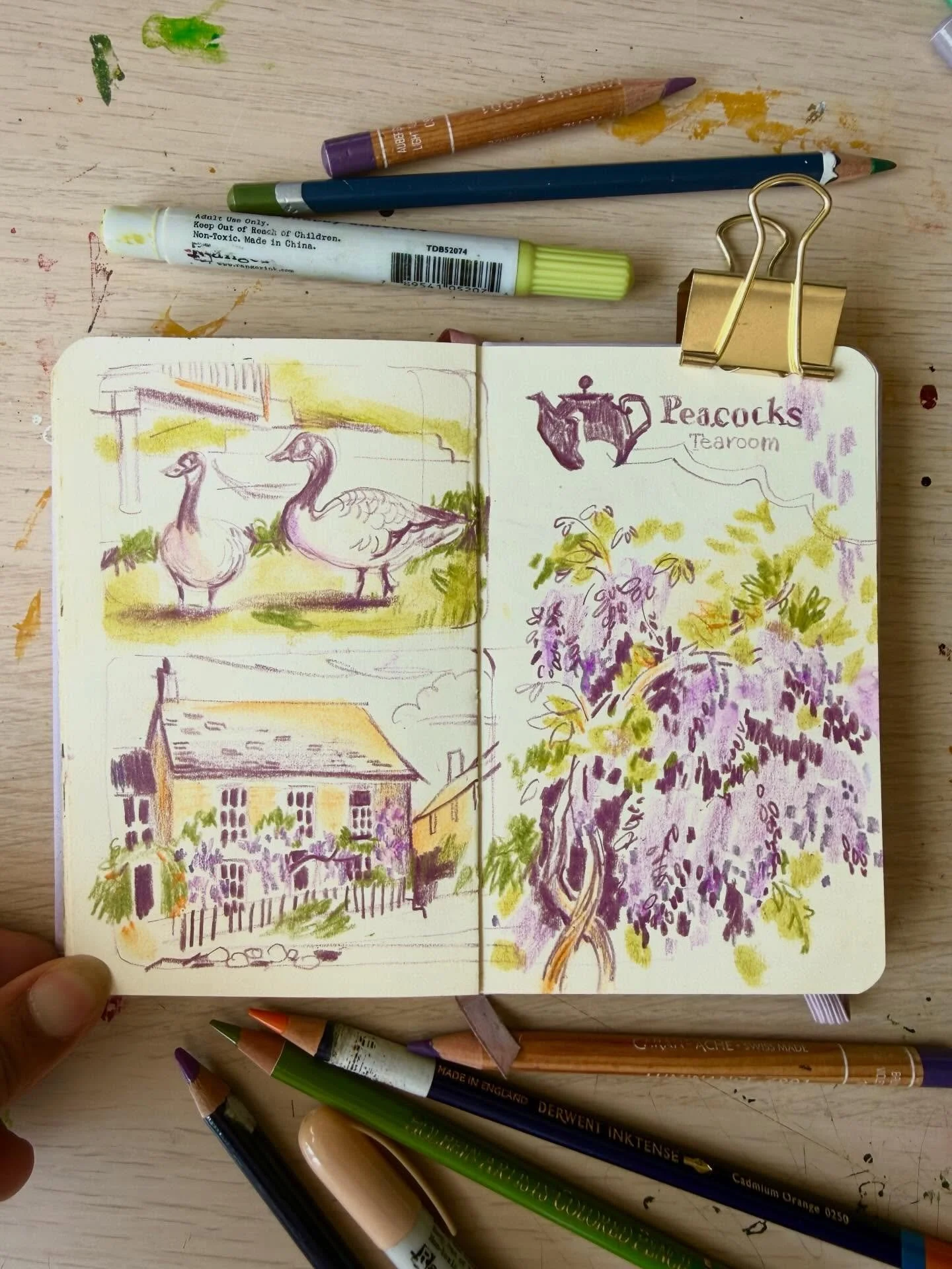I&rsquo;ve just shared a FREE 14 minute video on Patreon and it's open for EVERYONE to watch. It's a little round up of my April sketchbook pages, including my trip to Norfolk, local walks, sketches from our live Patreon Zoom sessions, and a visit to