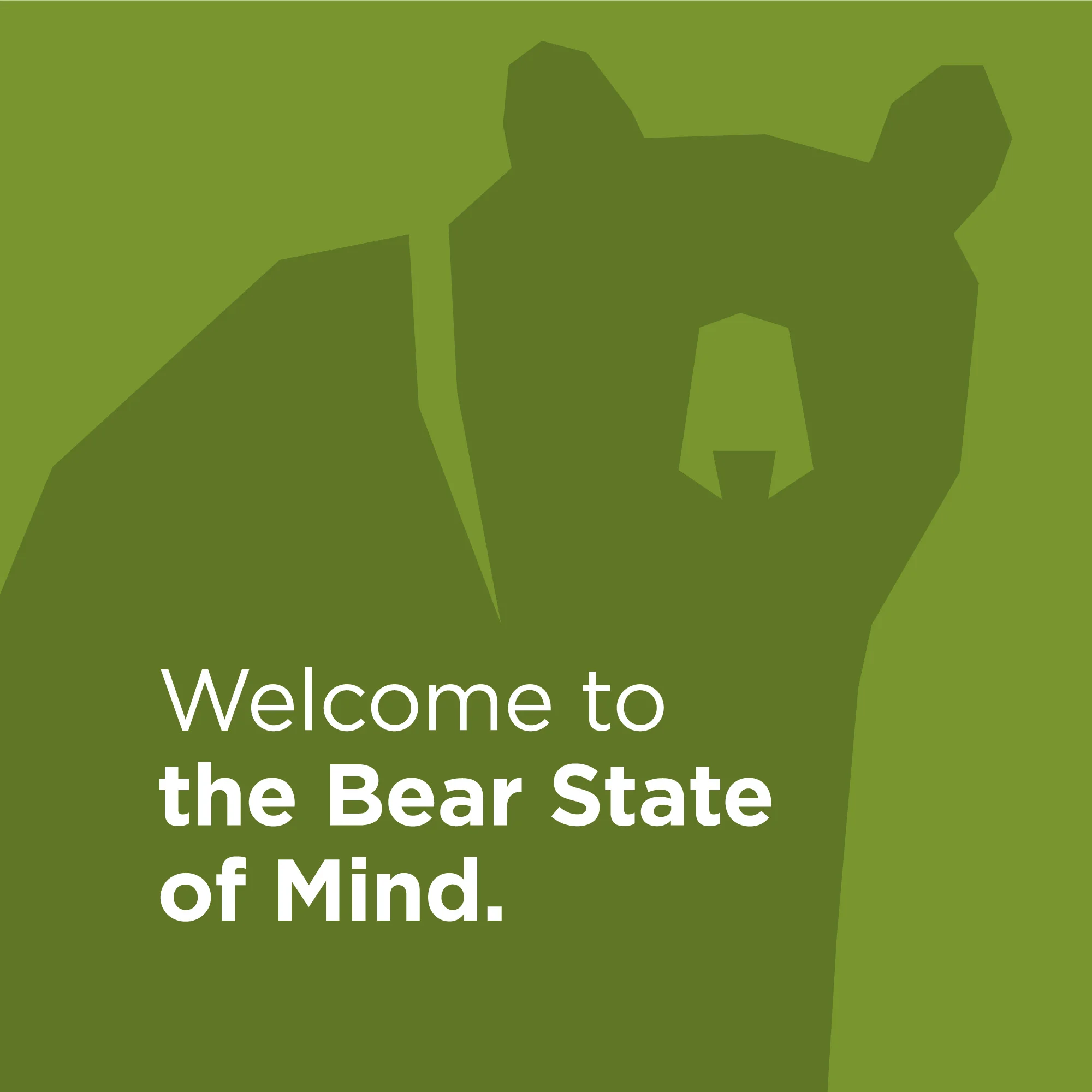 BearState_Thumb2.jpg