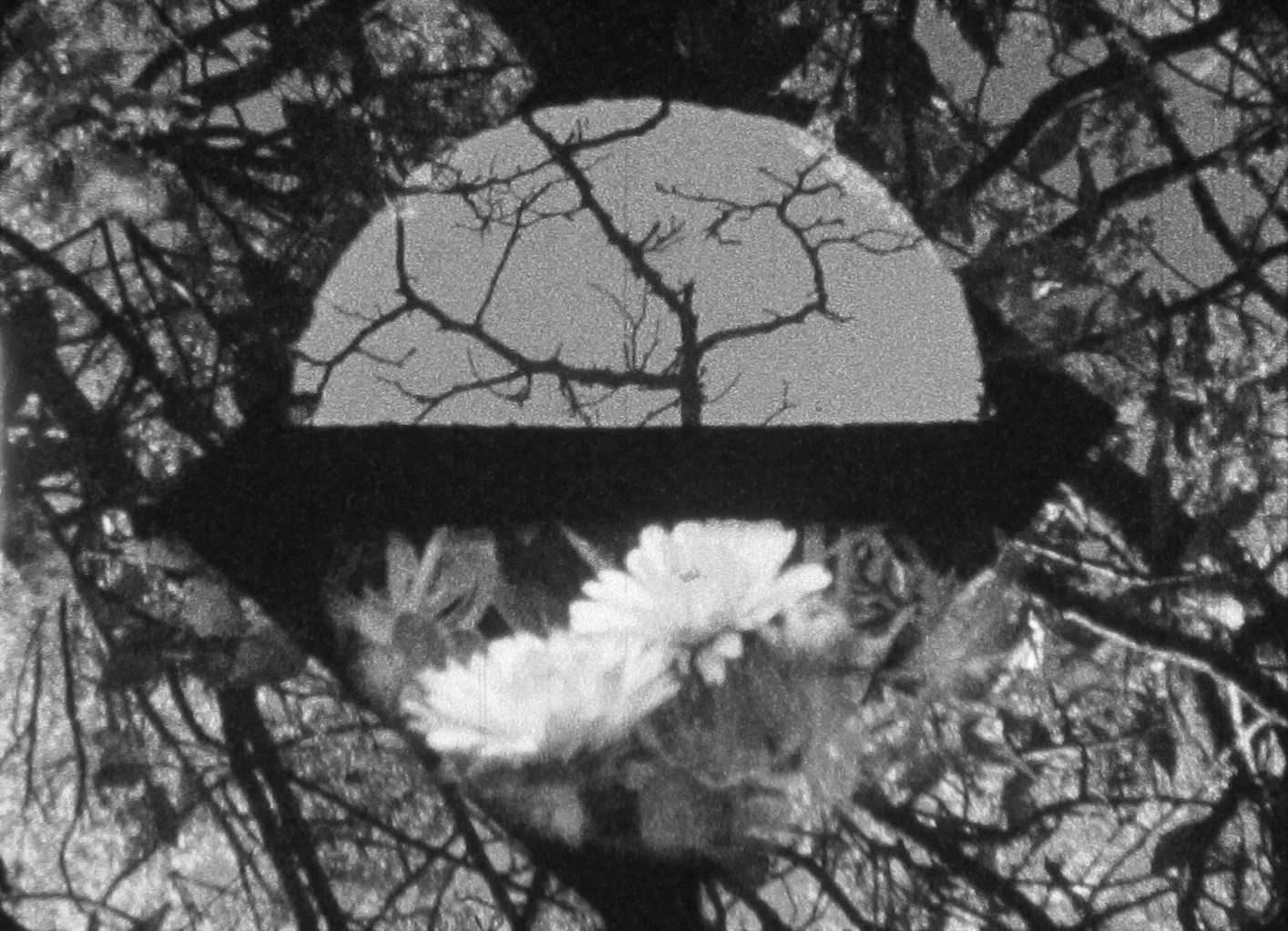 The Films of Pablo Marin