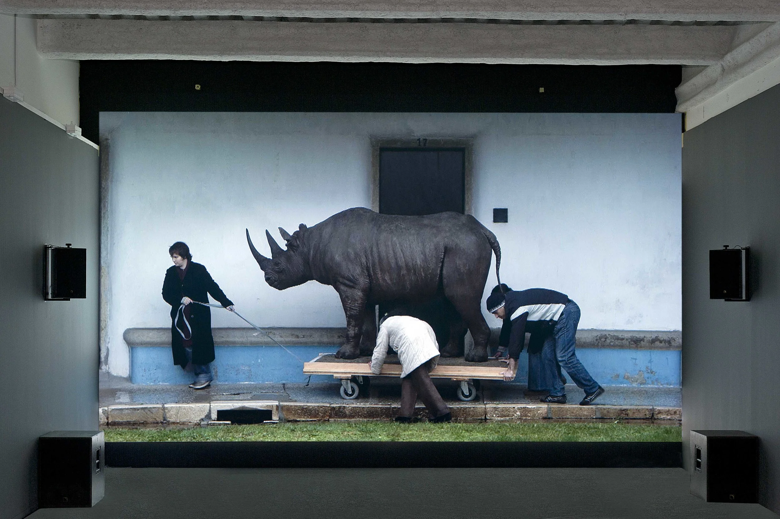 Dürer’s Rhinoceros