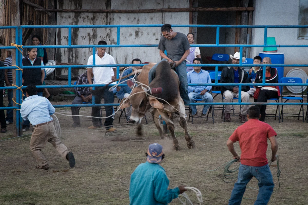 Bushwick Film Festival