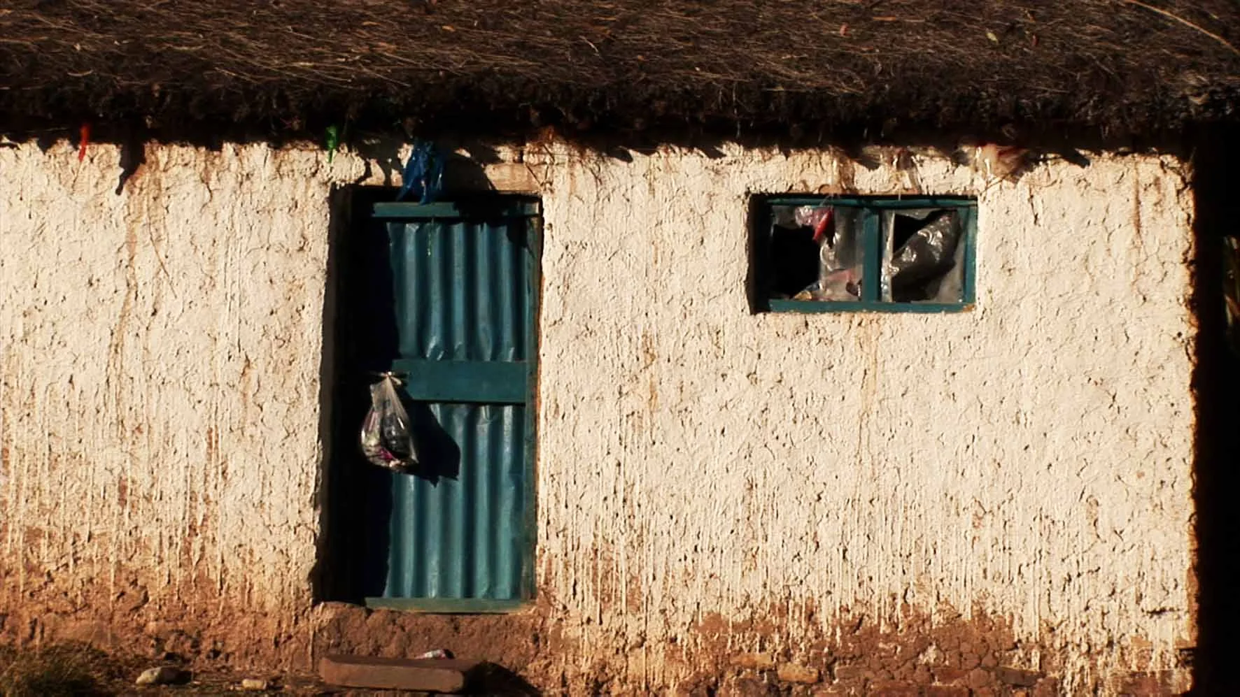 Margaret Mead Festival