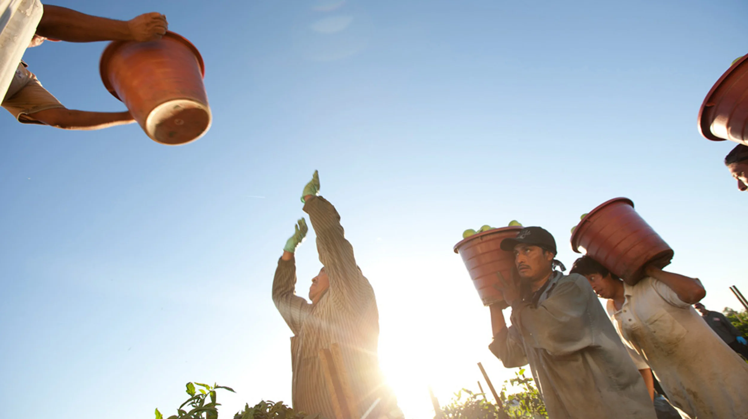 FOOD CHAIN$: The Revolution in America's Fields