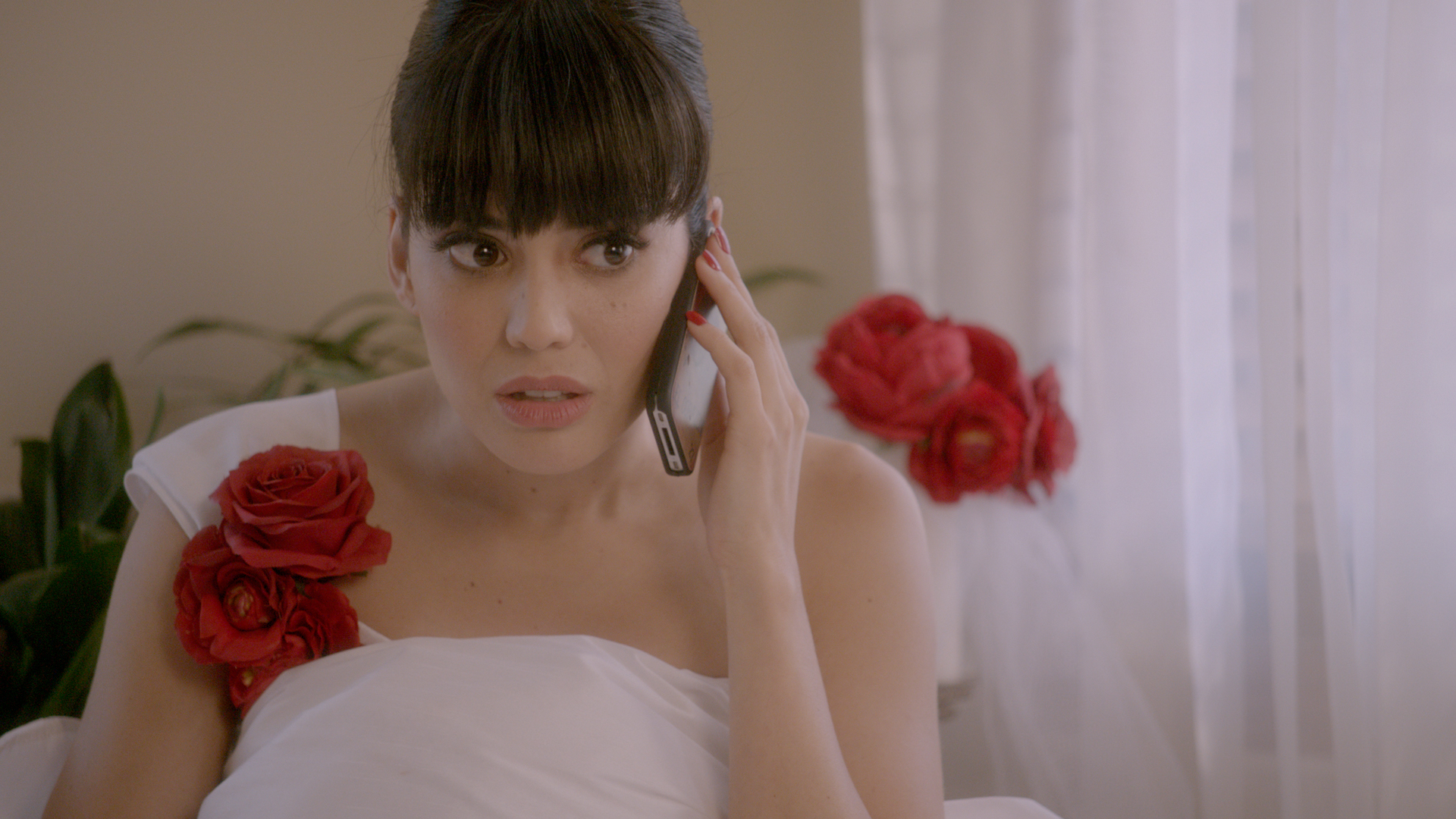 Ana Maria in Novela Land