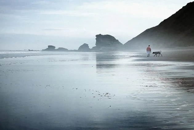 Ecuadorian Film Festival in New York