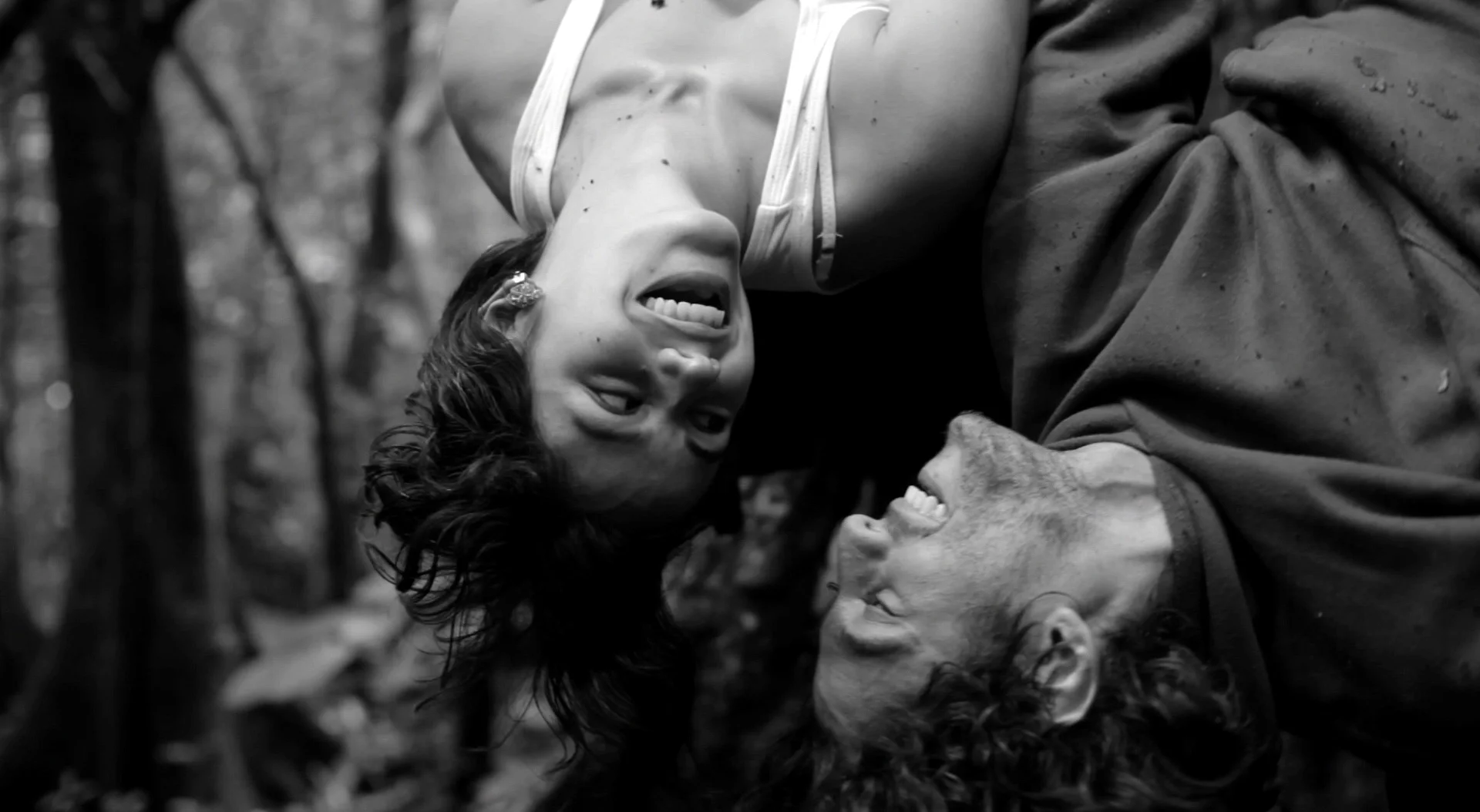 AFI Latin American Film Festival