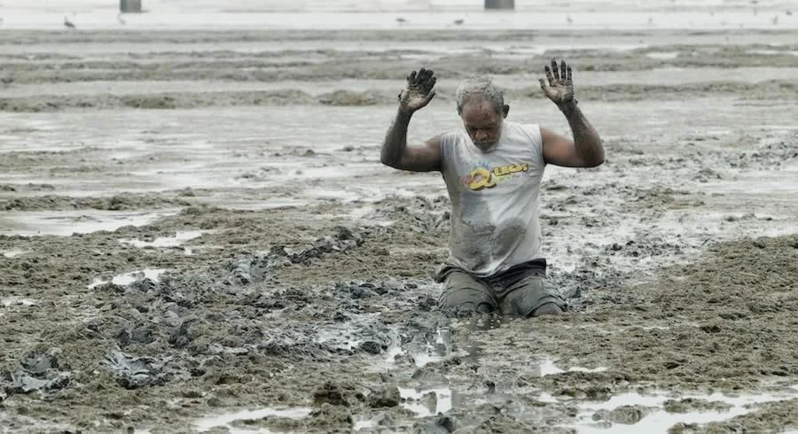 Bronx World Film Cycle