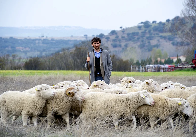 Las ovejas no pierden el tren (Sidetracked)