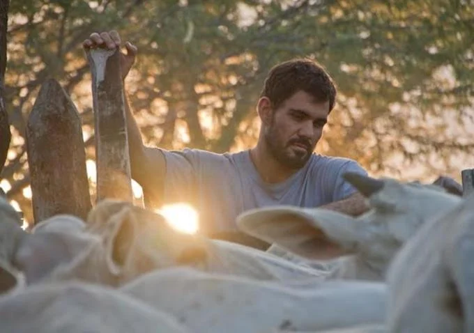 Boi neon (Neon Bull)