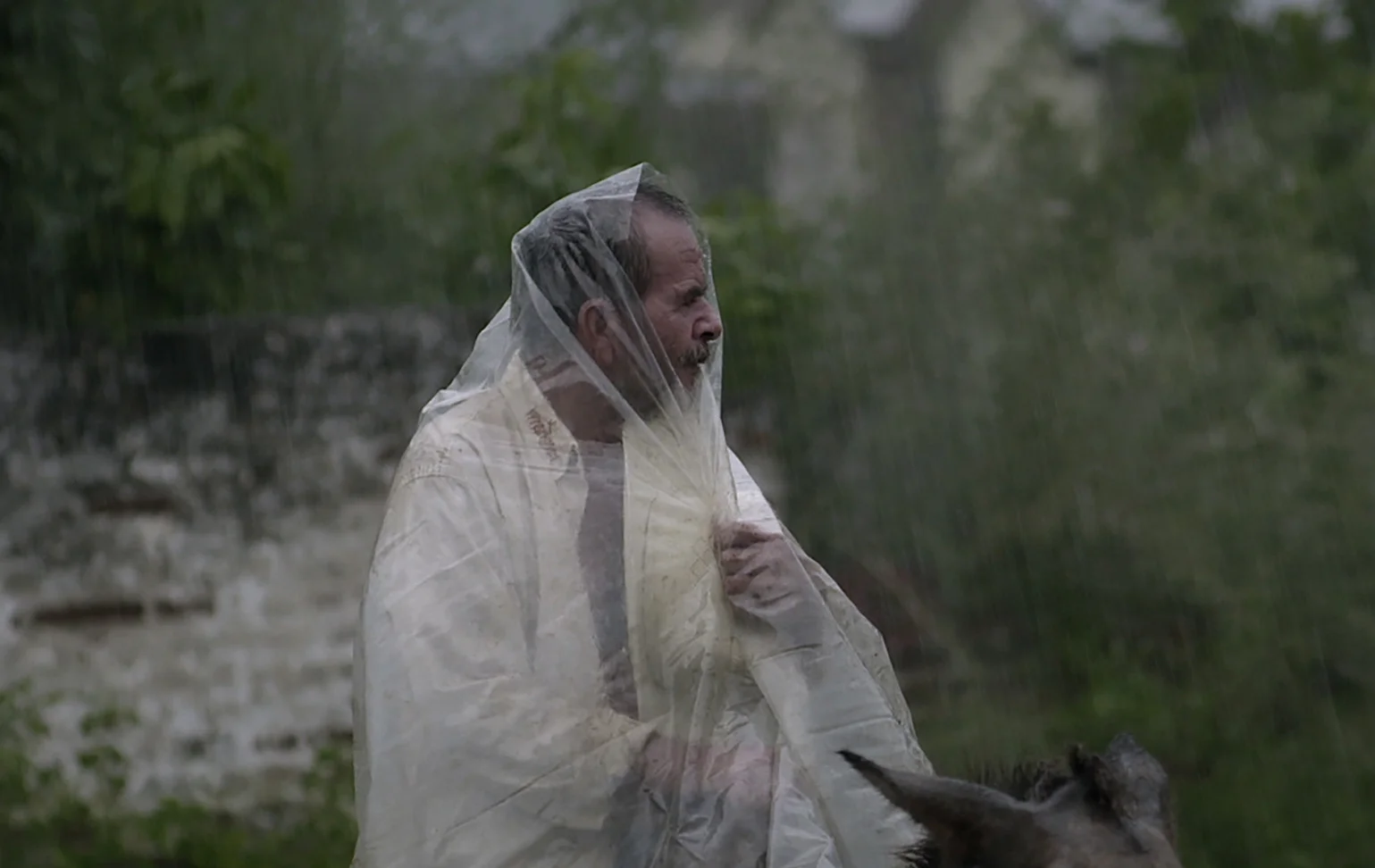 Los reyes del pueblo que no existe (Kings of Nowhere)