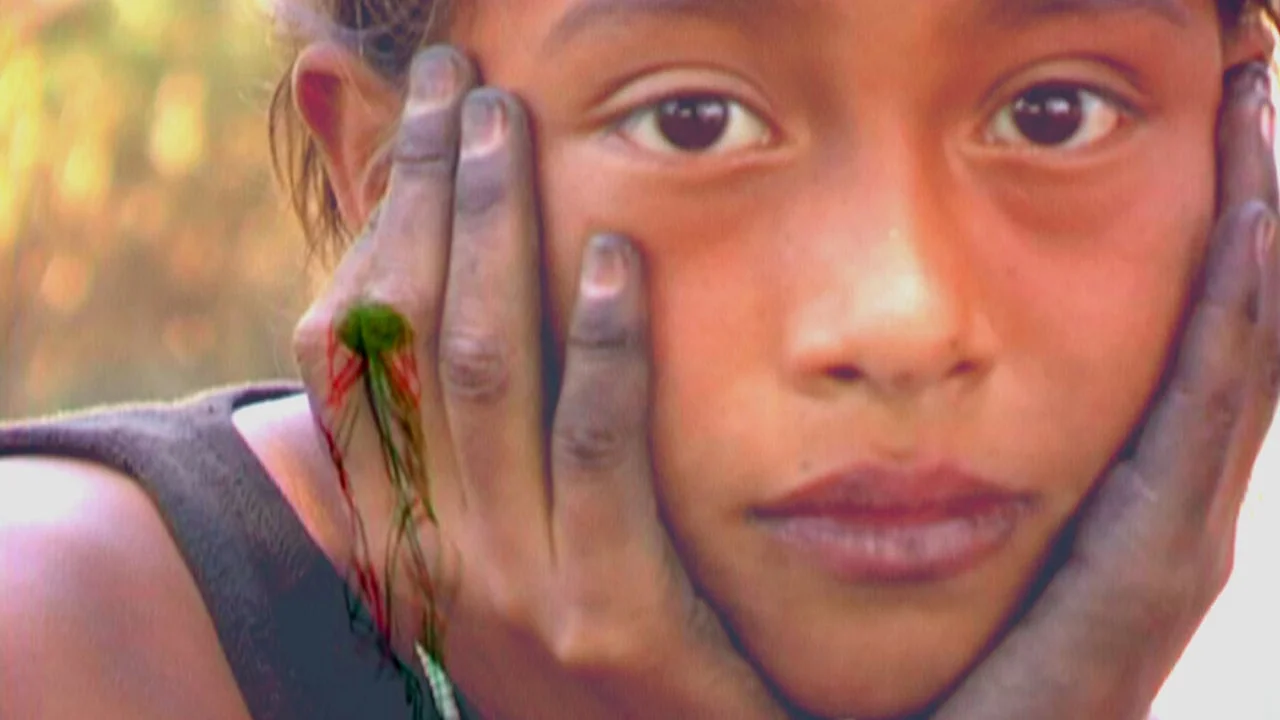 De Cometas y Fronteras (Of Kites and Borders) 