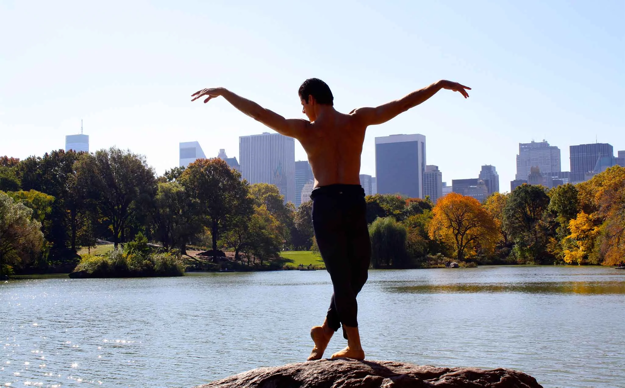 Anatomy of a Male Ballet Dancer