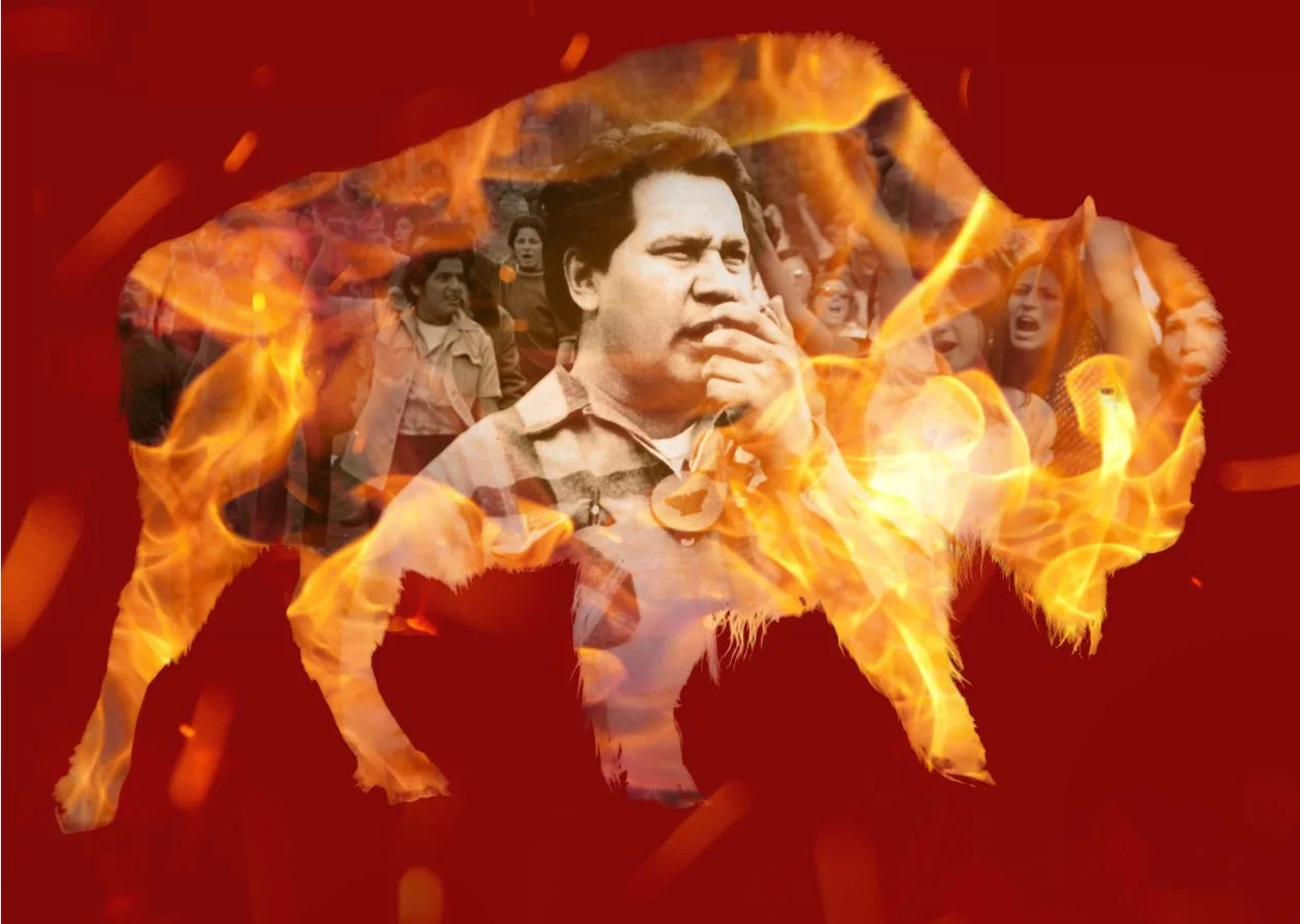 The Rise and Fall of the Brown Buffalo
