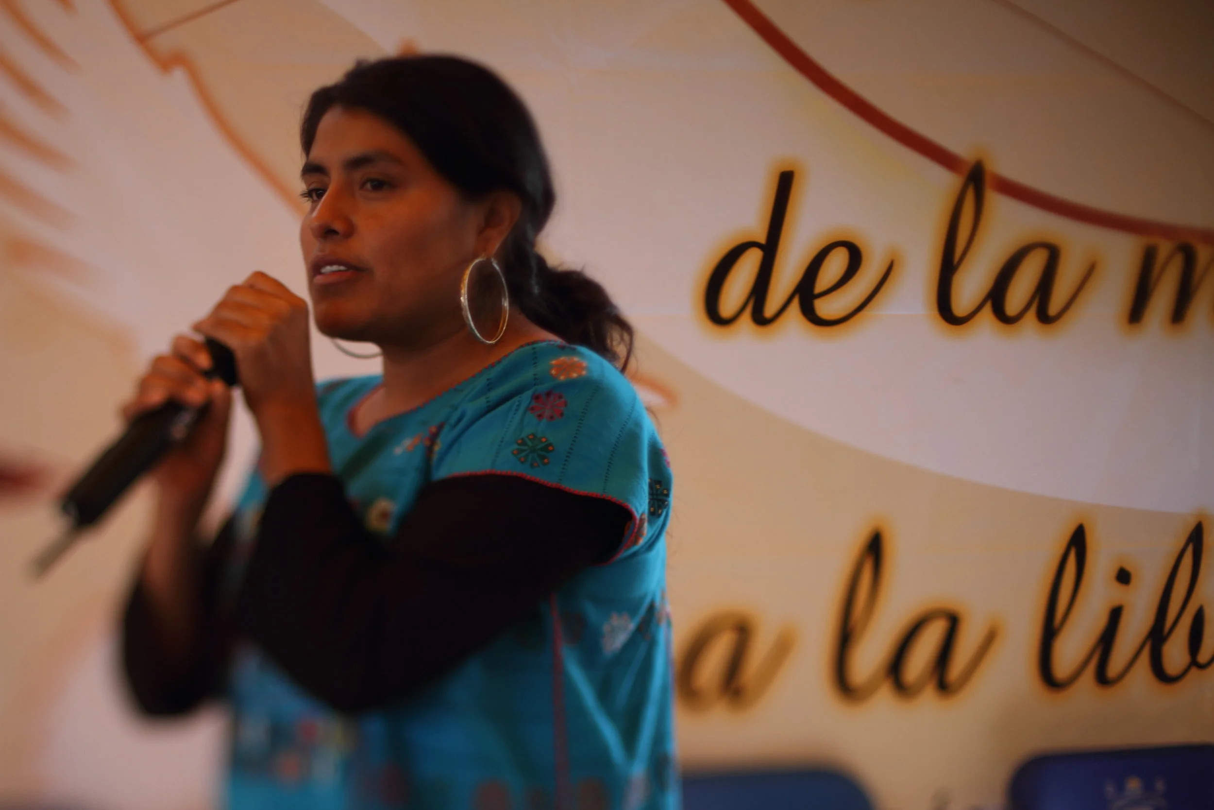 Eufrosina’s Revolution (La Revolución de los Alcatraces)