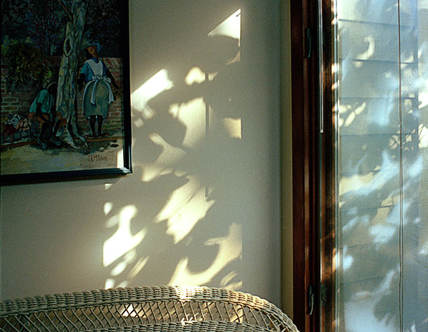 home_light1.jpg