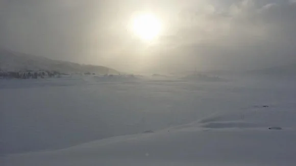 snow1.jpg