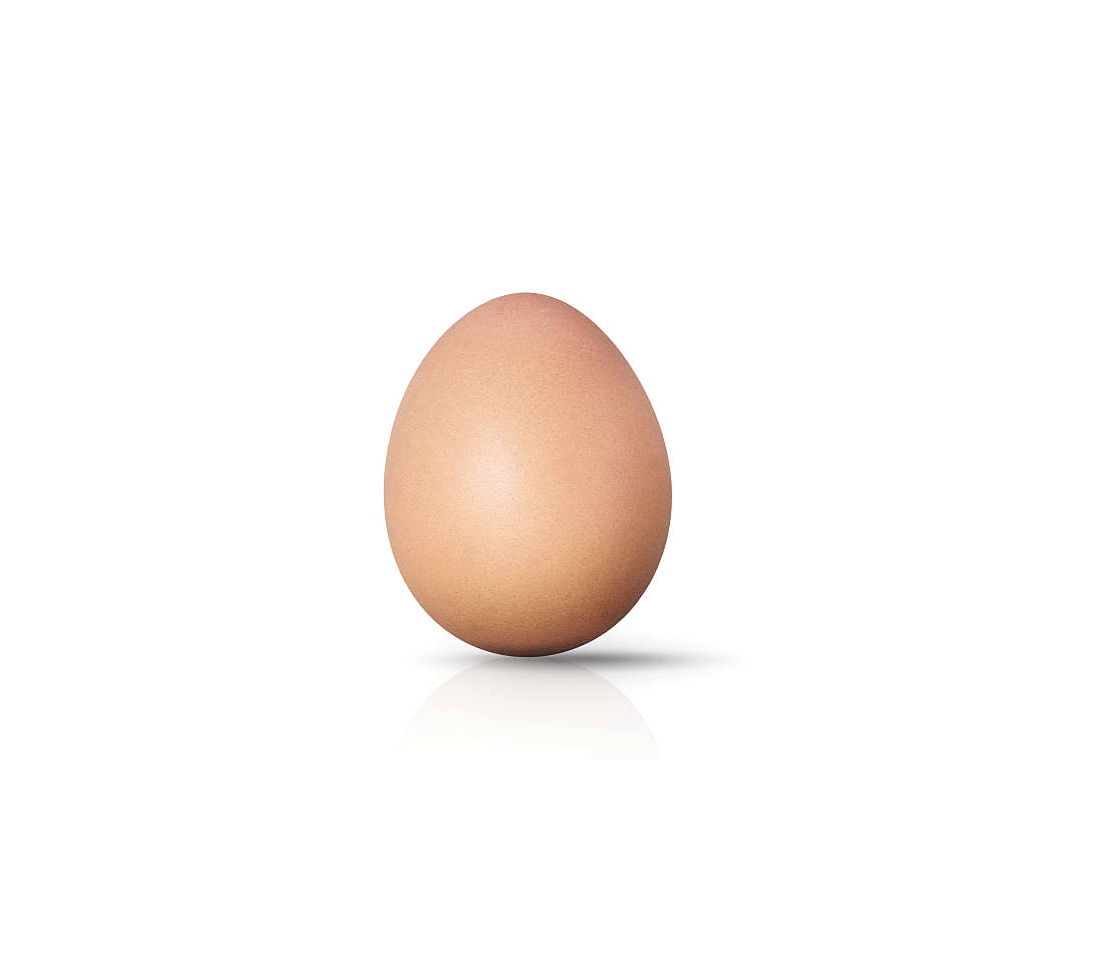 Easter-Brew.gif