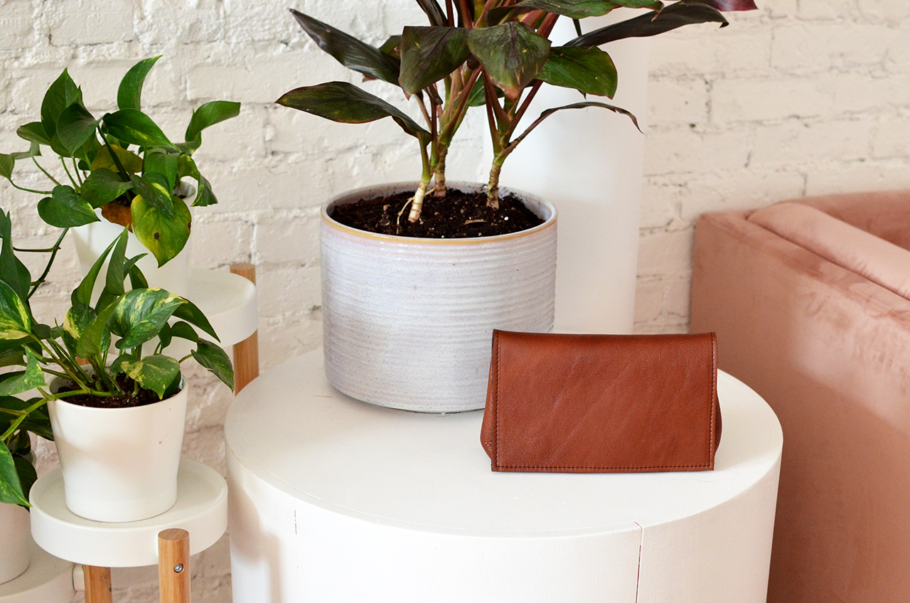 brown-plants.jpg