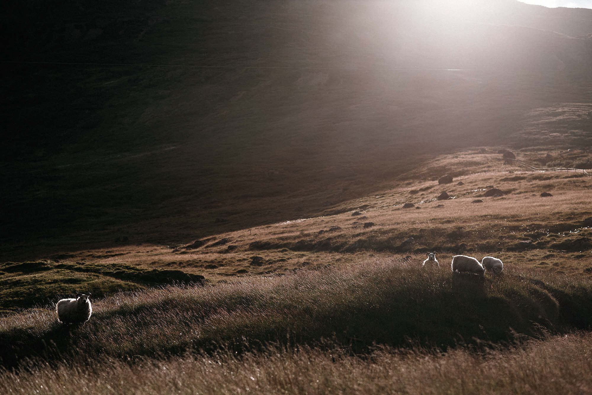 iceland-wedding-photographer_jere-satamo_photography-reykjavik-059.jpg