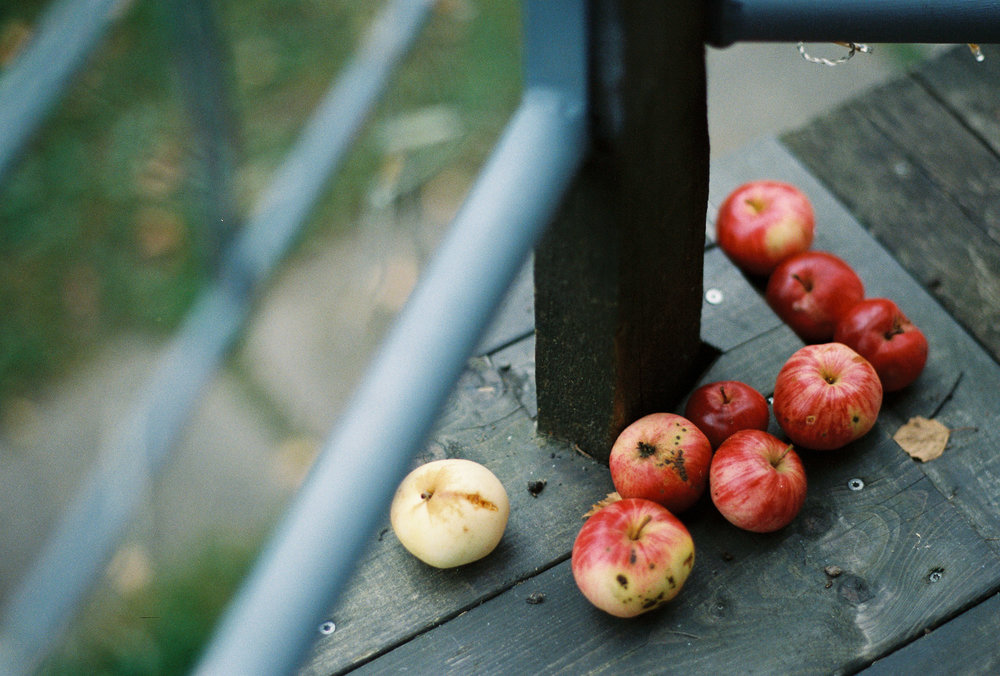 jere-satamo-analog-film-wedding-photographer-finland-031.jpg