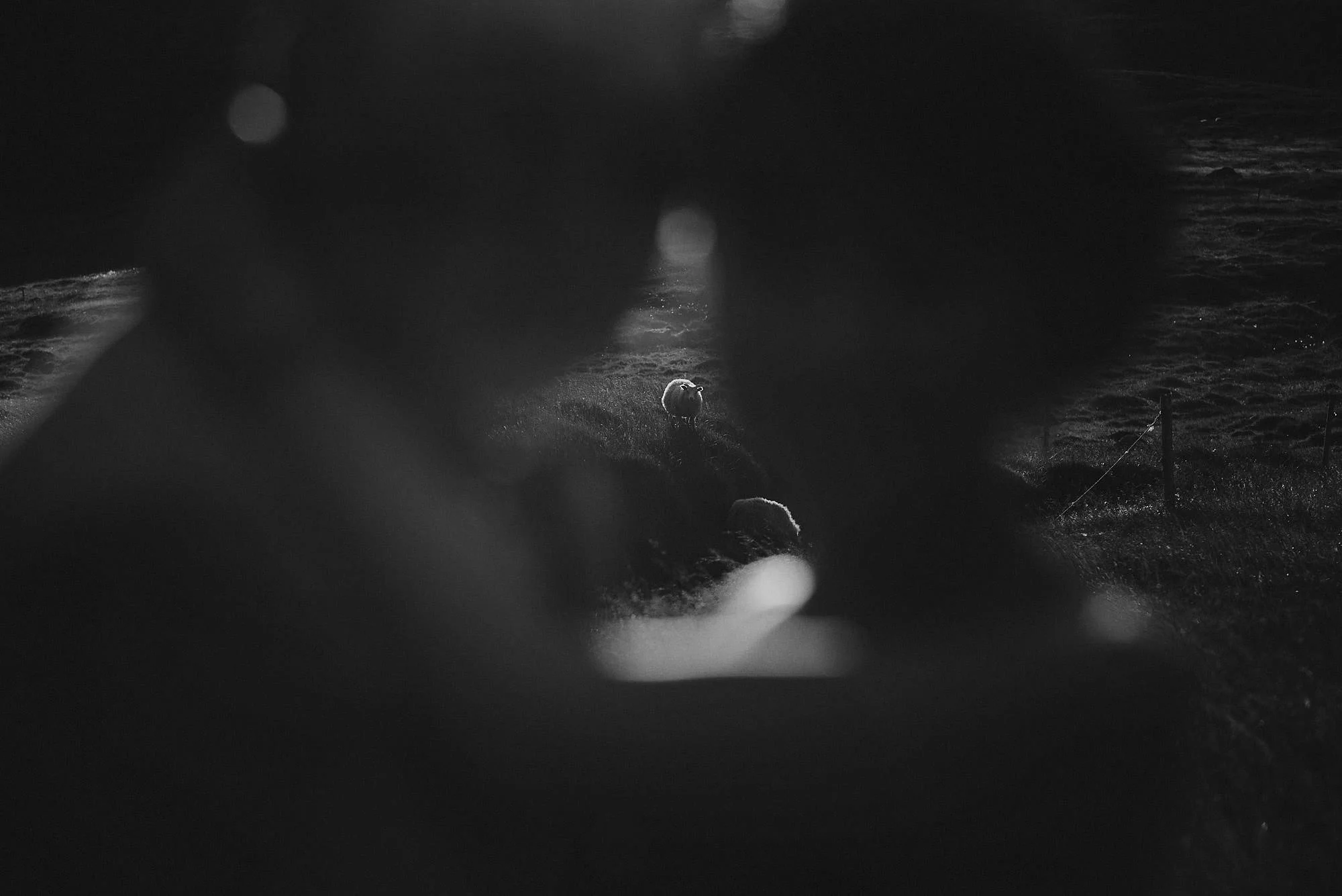 wedding-photographer-iceland-jere-satamo_reykjavik-vik-034-web.jpg