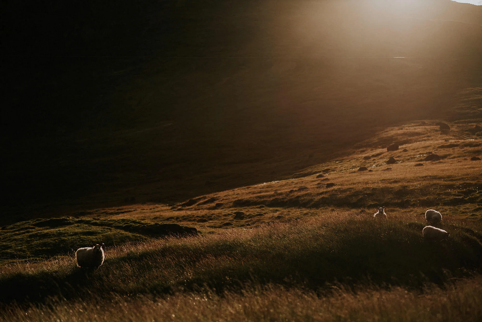 wedding-photographer-iceland-jere-satamo_reykjavik-vik-033-web.jpg