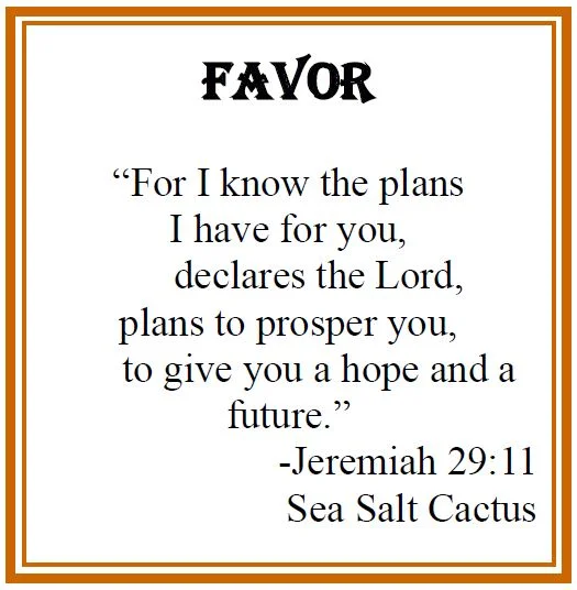 For I know the plans