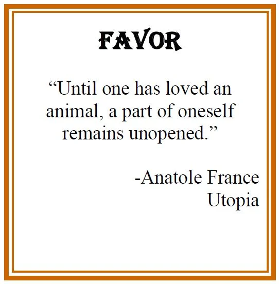 Until one has loved an animal