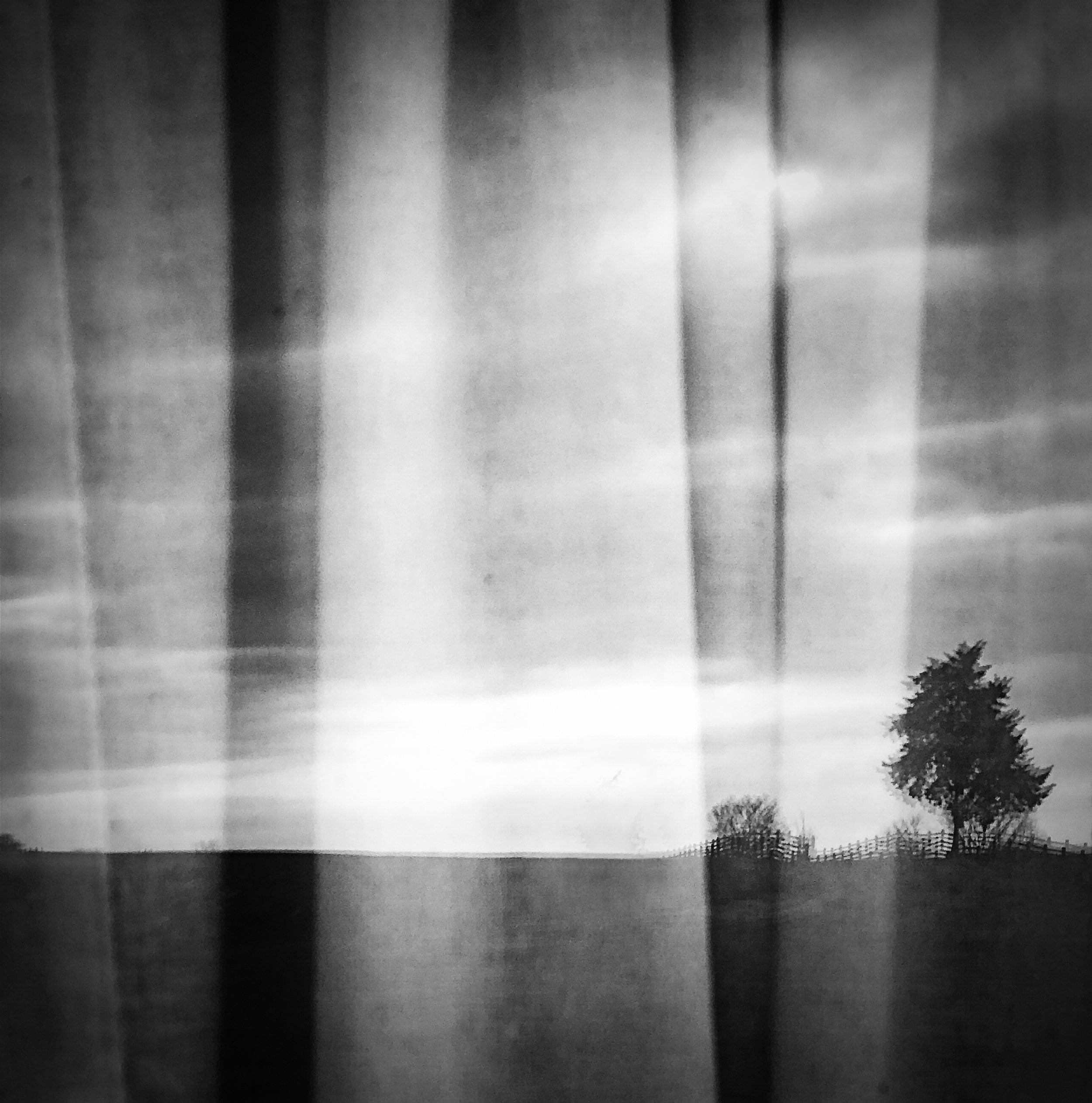 In the Window