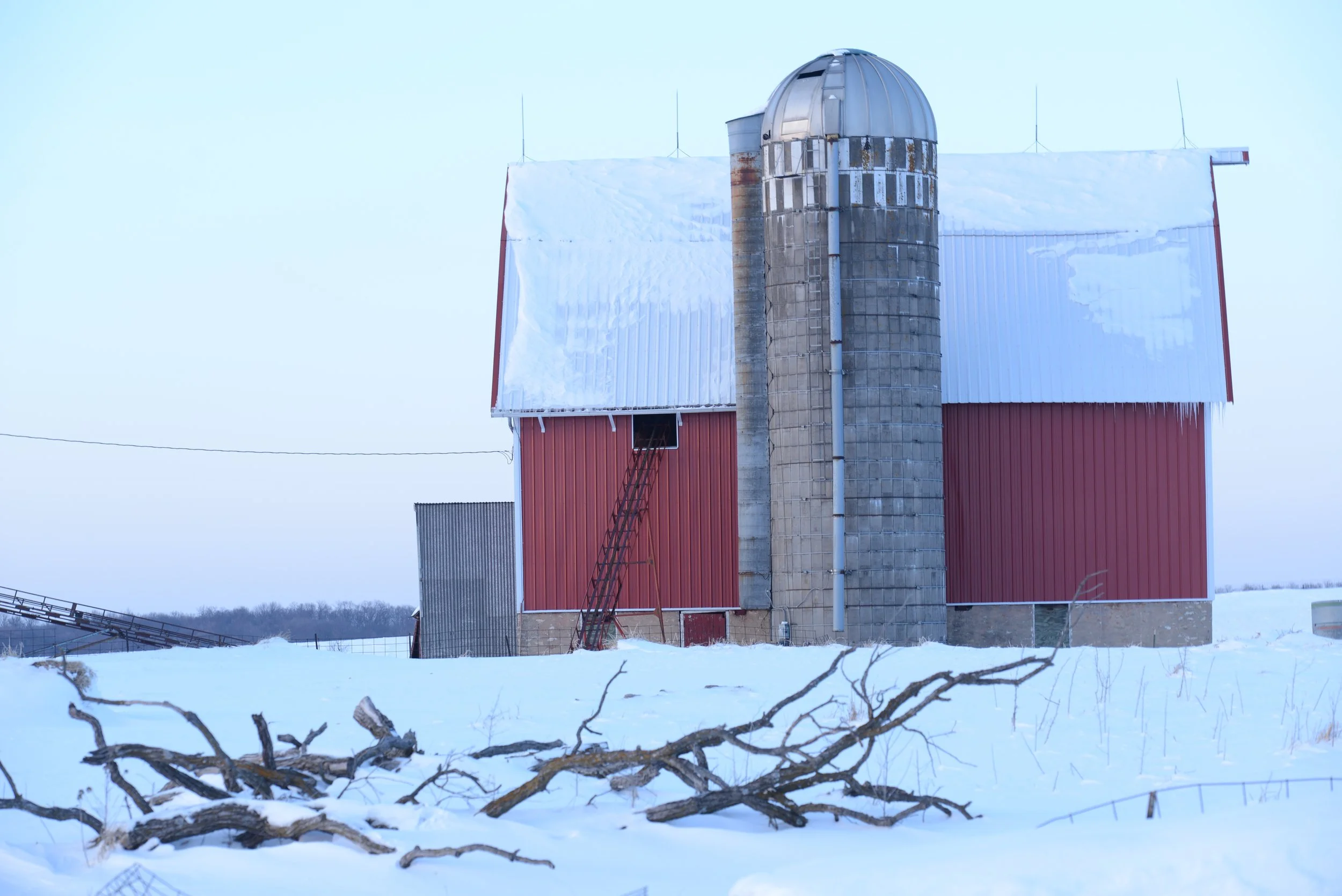 DSC_7931.JPG