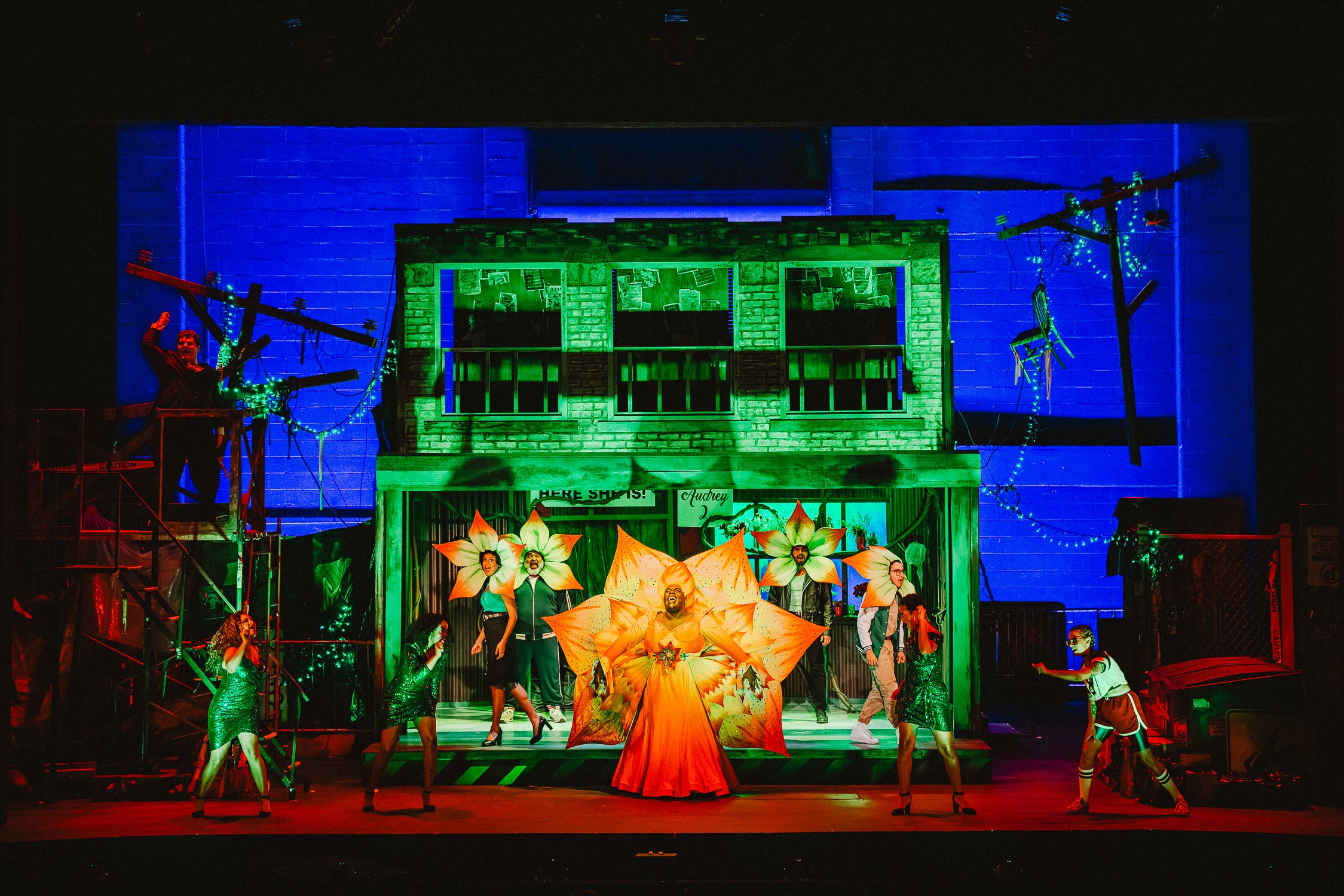 Little Shop of Horrors- Virginia Theater Festival 2024