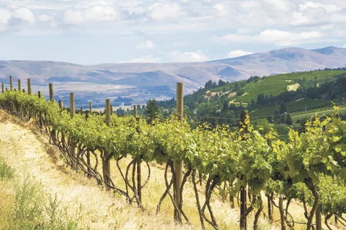 Destination: The Dalles