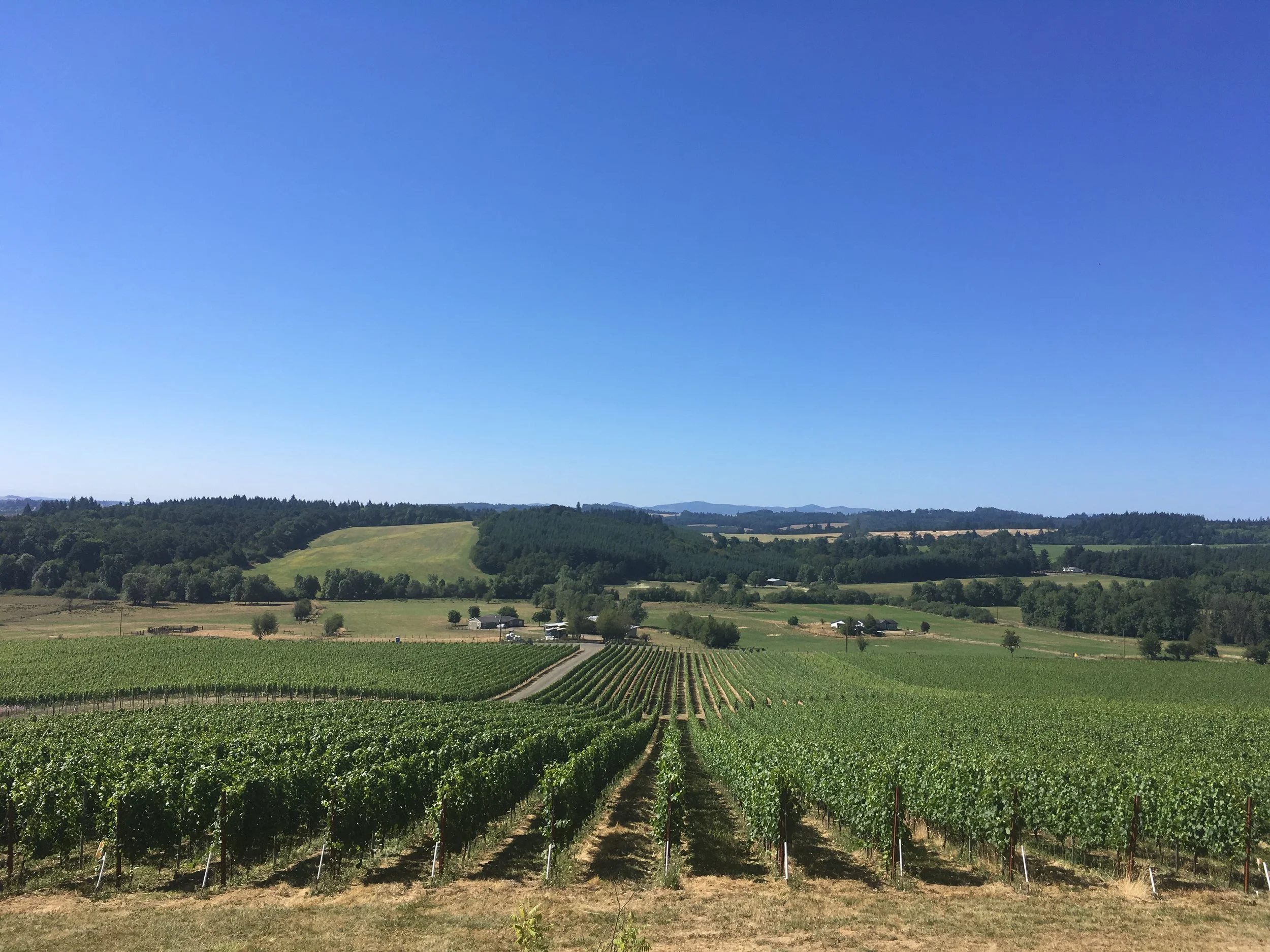 Detour-Worthy Eateries Along I-5