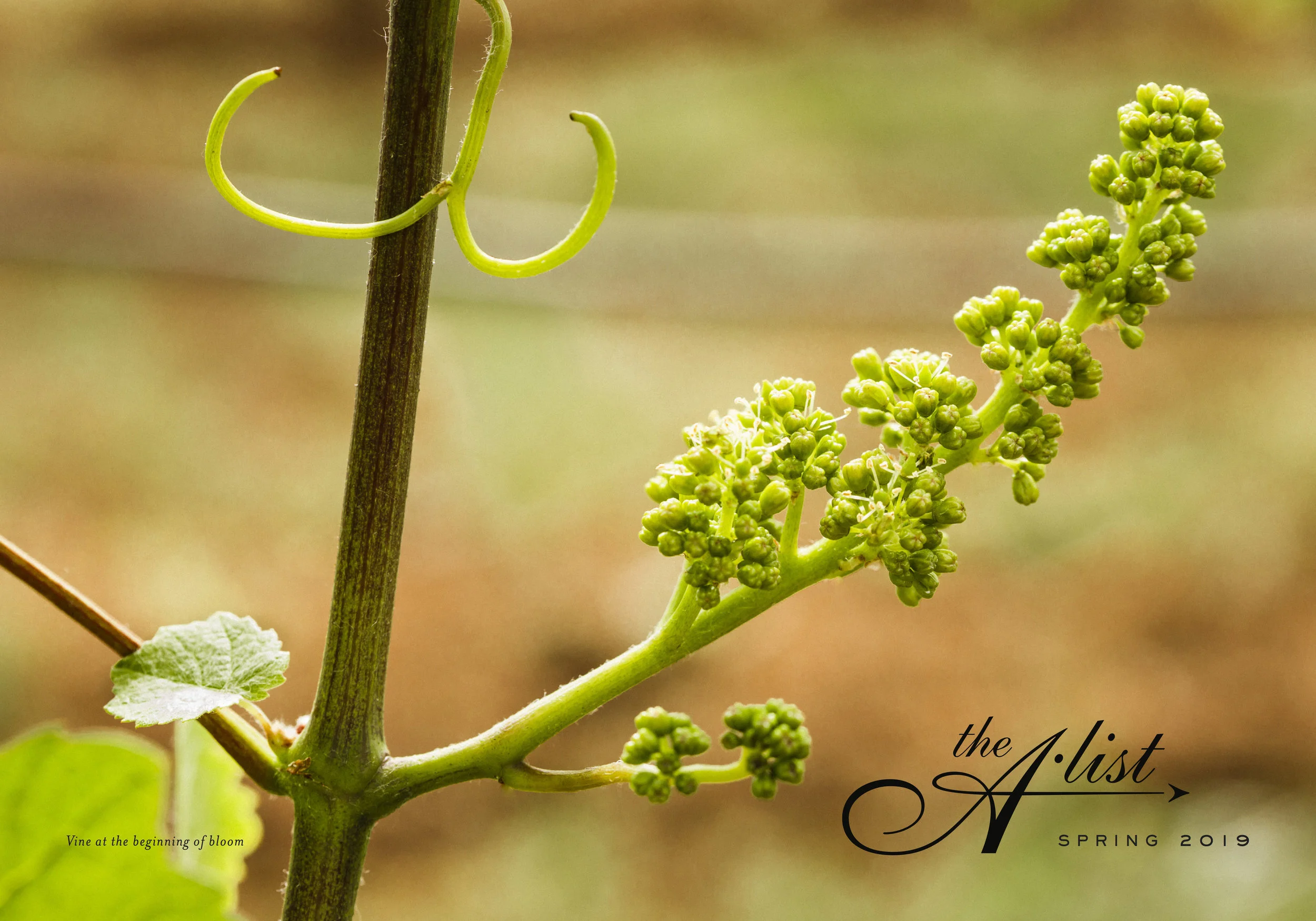 April 2019 - 7x10.jpg