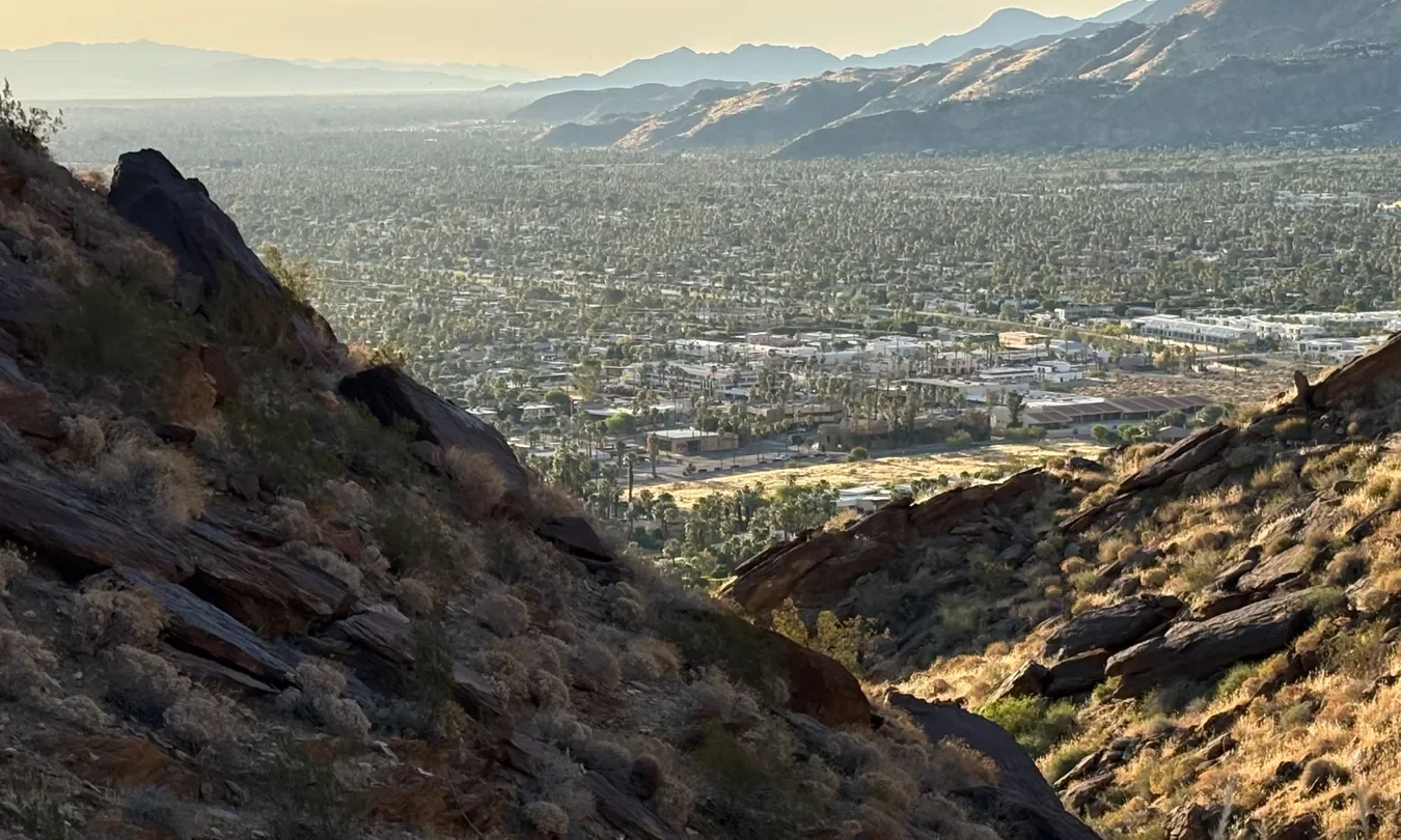 Desert Dining: A Palm Springs Grub Guide