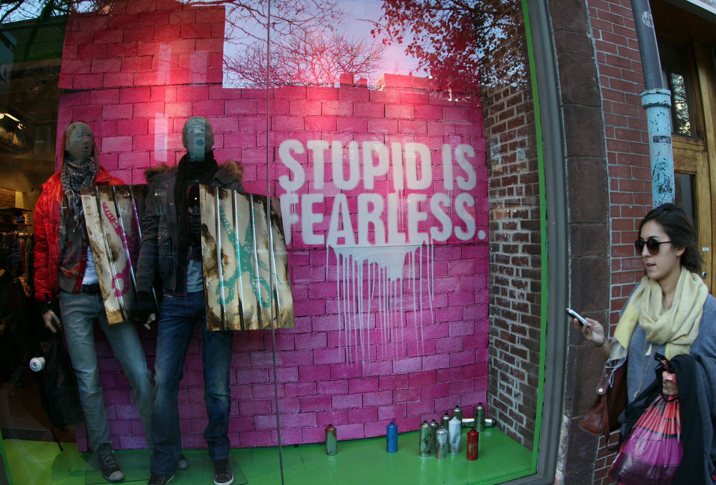 stupid is fearless.jpg