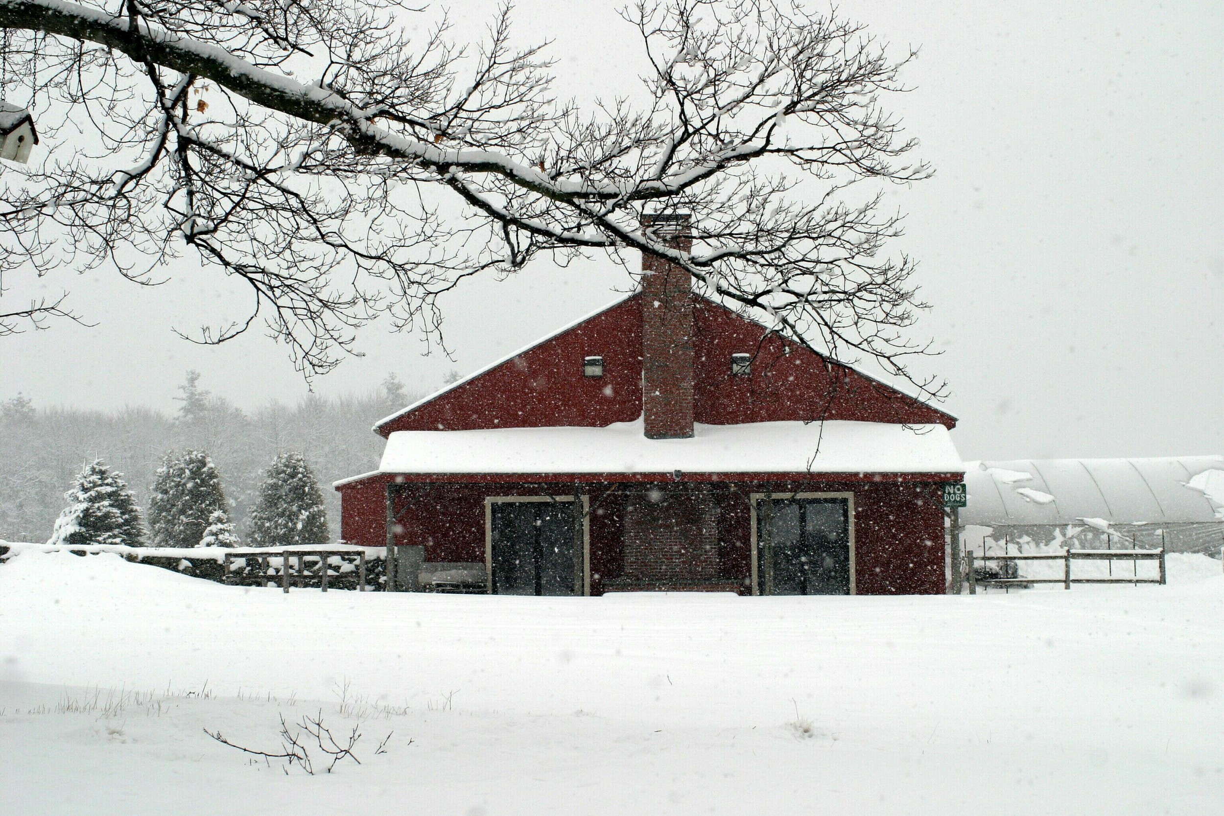 red house in the snow.jpg