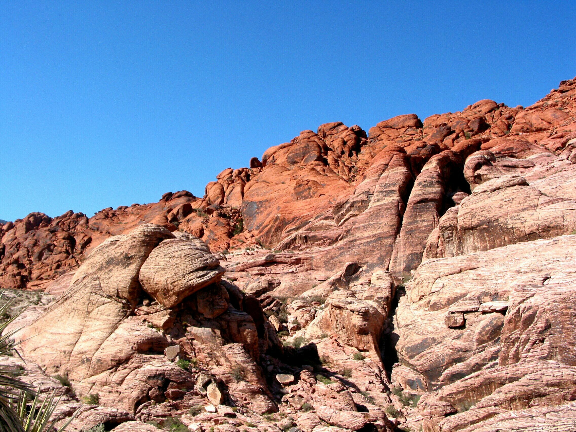 Red Rock Canyon8.jpg