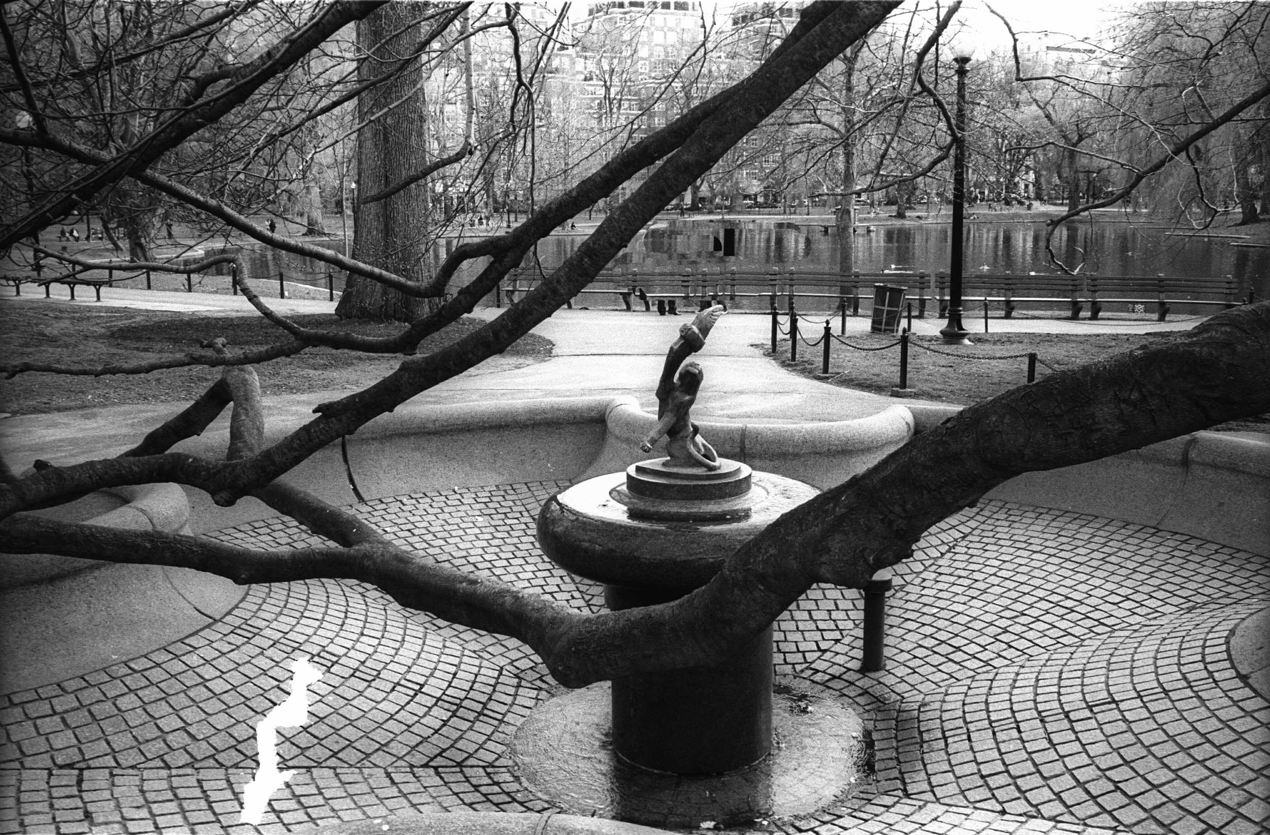 Statue at Public Gardens.jpg