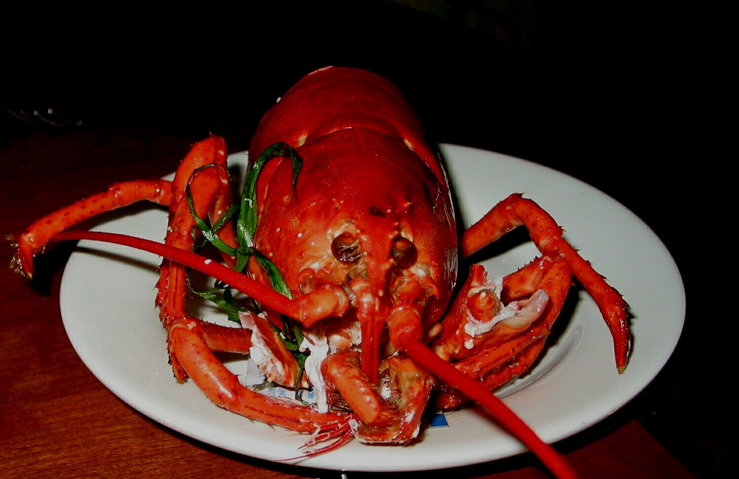 Back Eddy Lobster.jpg