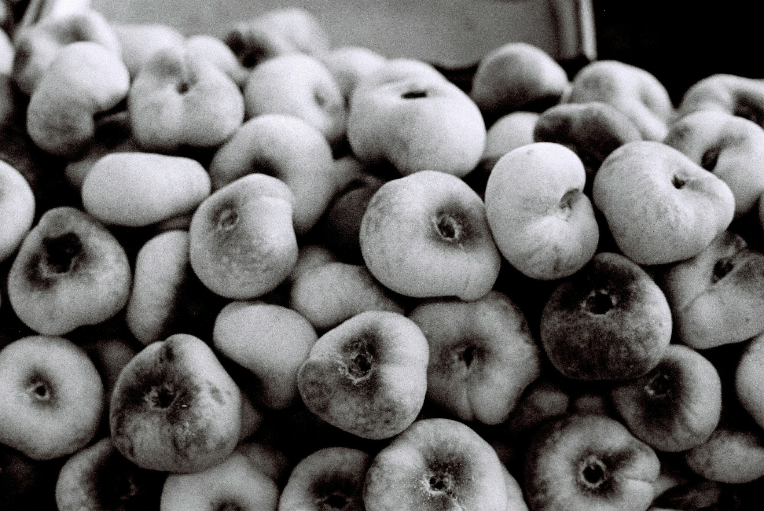 B&W peaches.jpg