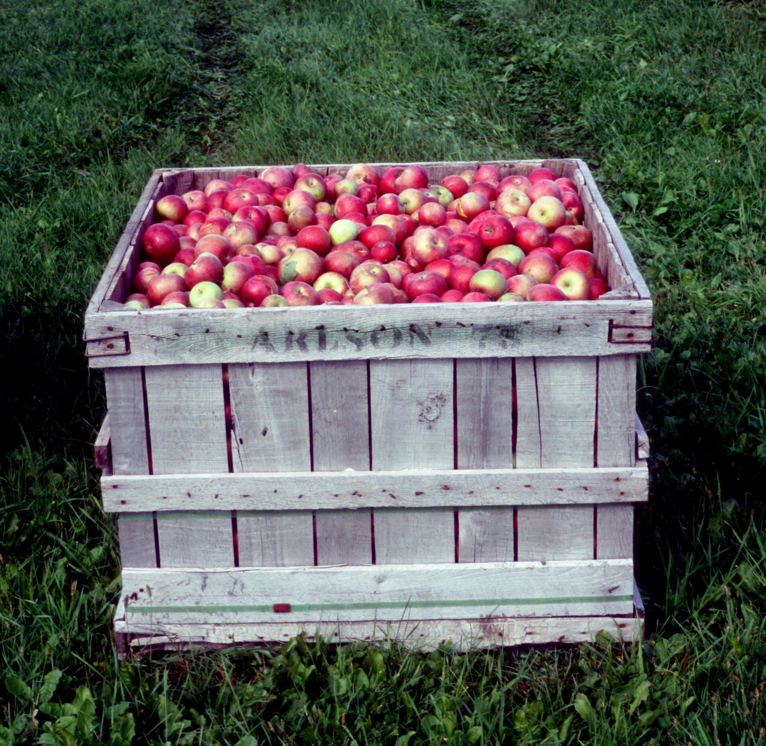 box of carlson apples.jpg