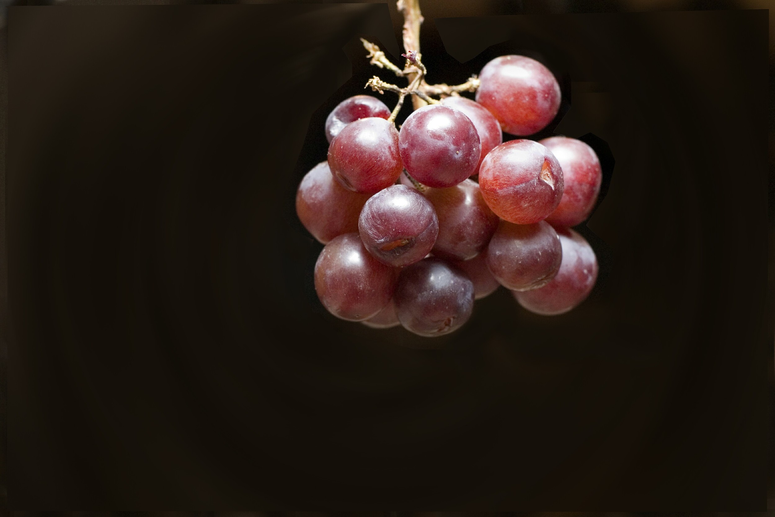 grape bunch 01  .jpg