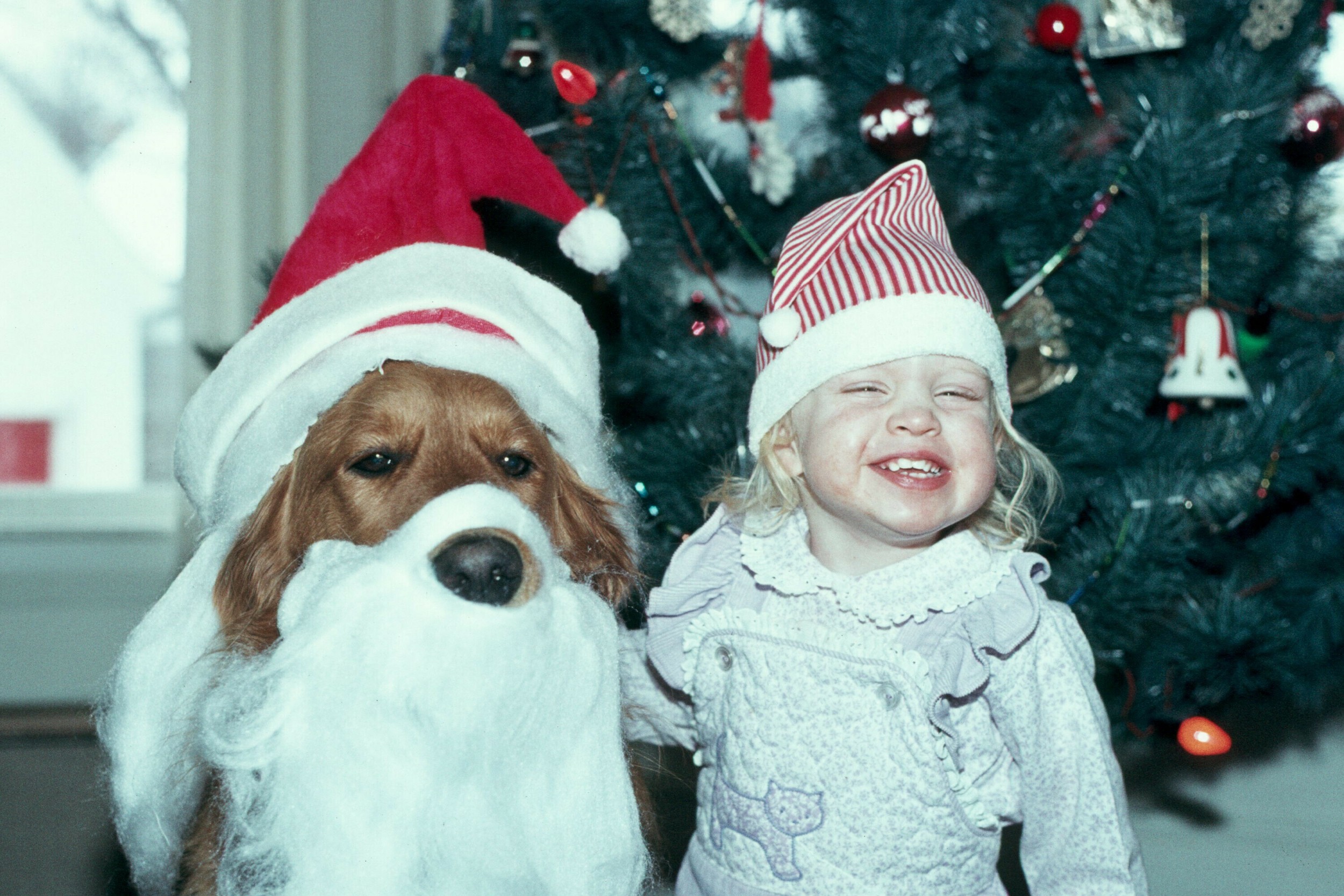 Santa Becky and Caesar.jpg