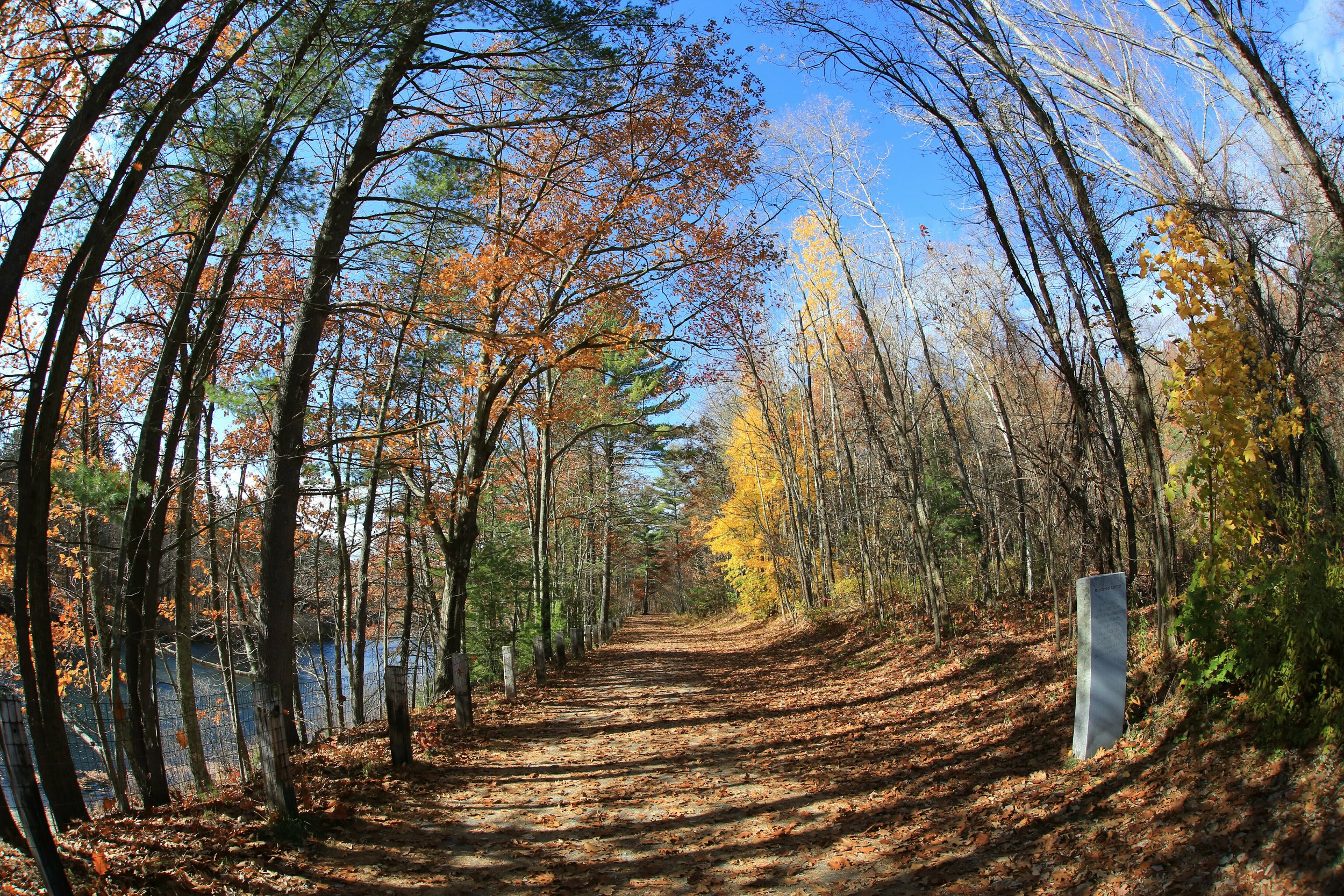 fisheye rail trail view.jpg