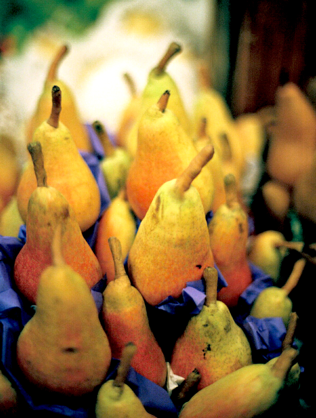 Colorful pears.jpg