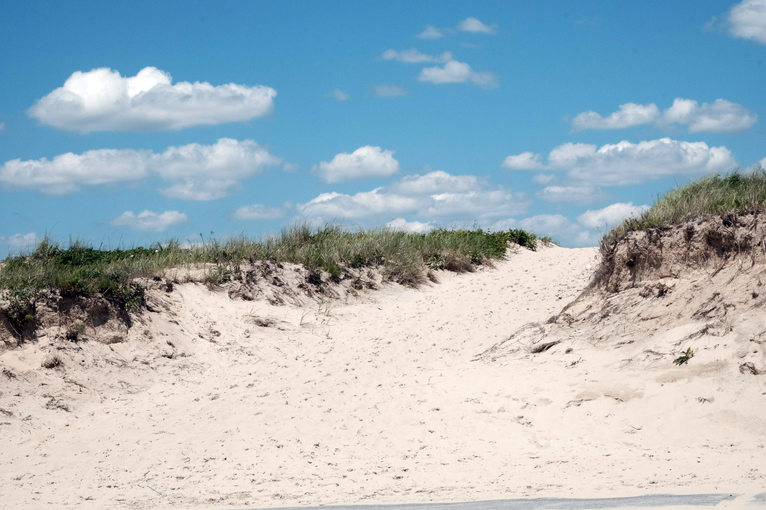 Horseneck dune2.jpg