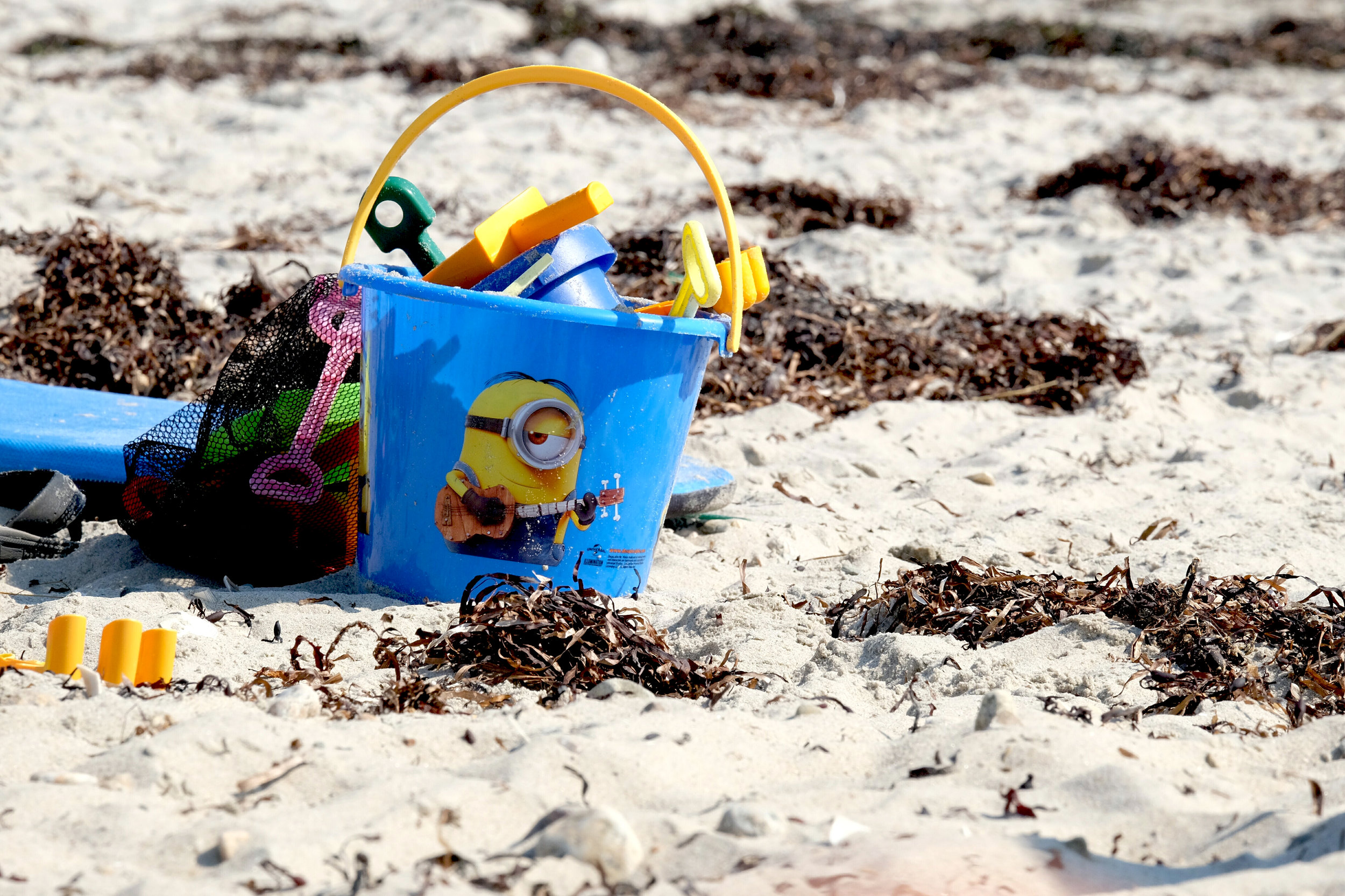 Minions Beach Bucket.jpg